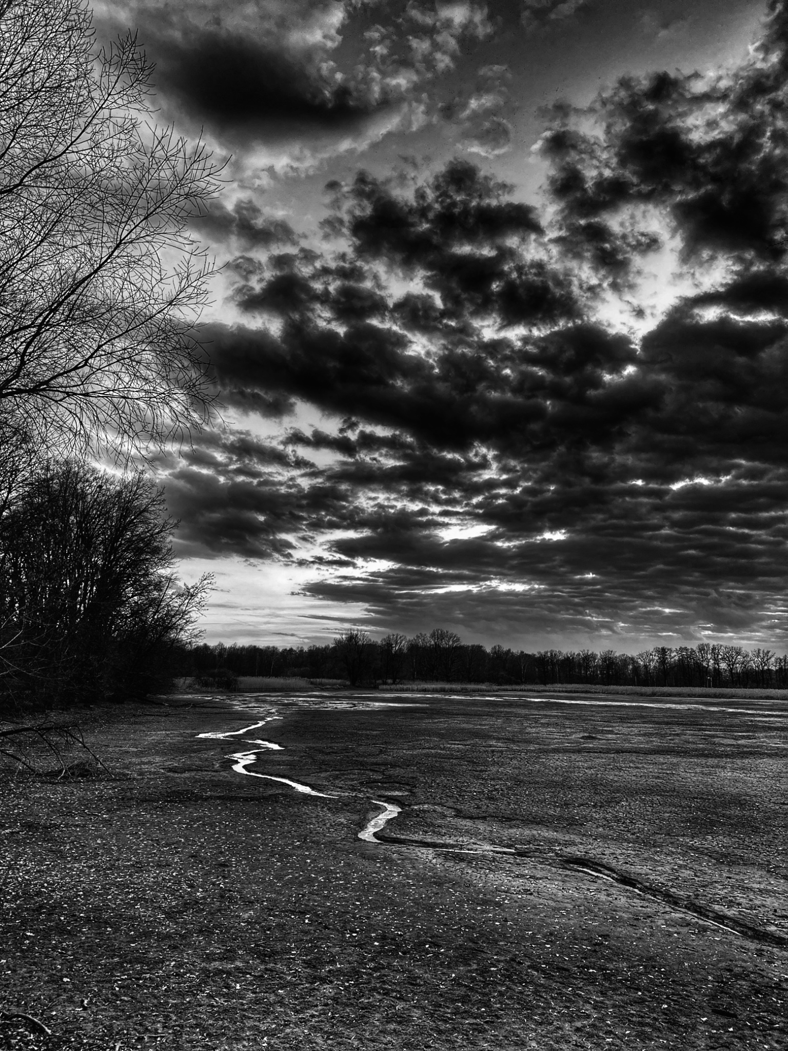 OriginalPhoto 795199950.003868