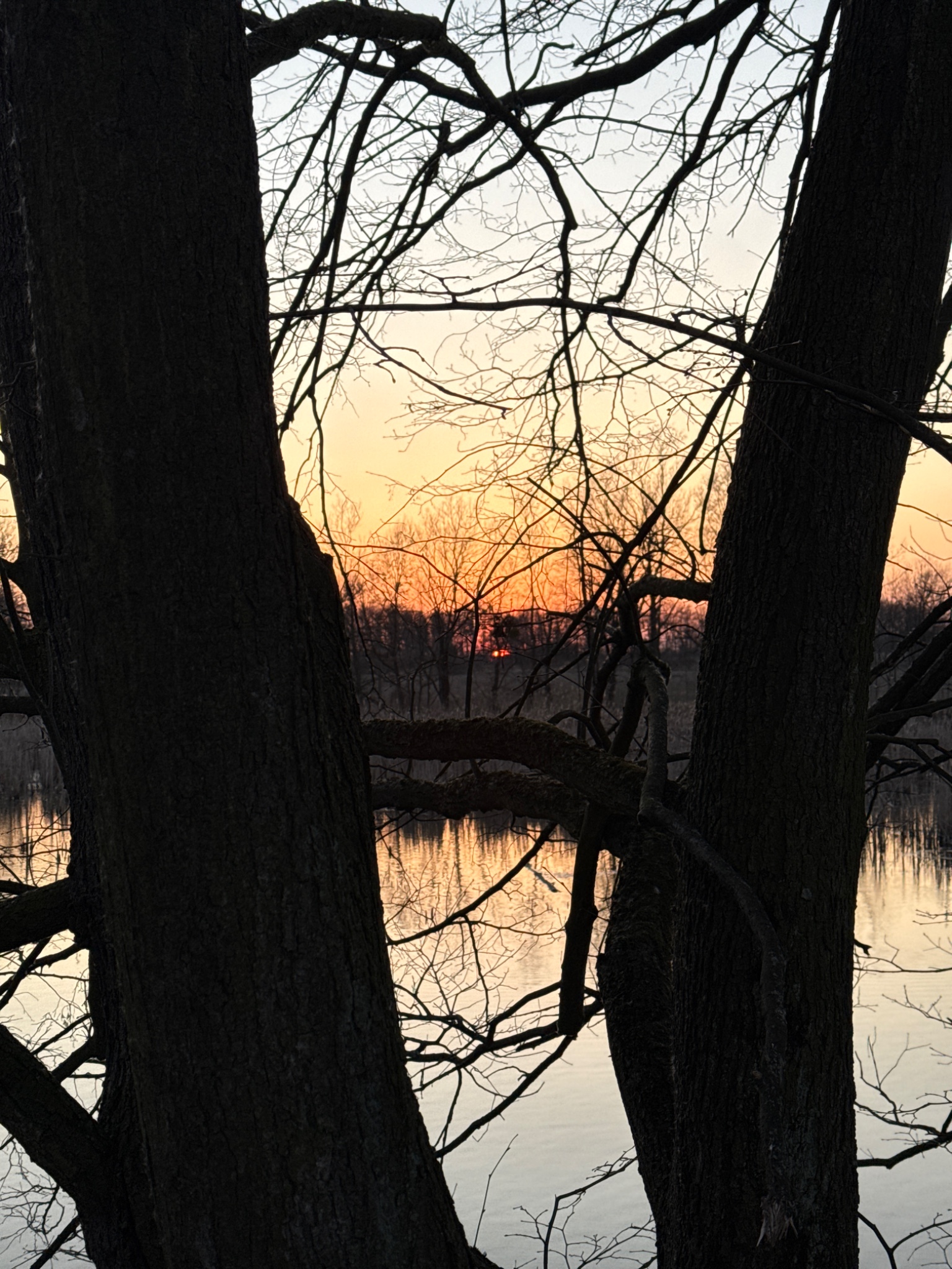 OriginalPhoto 795545364.394818