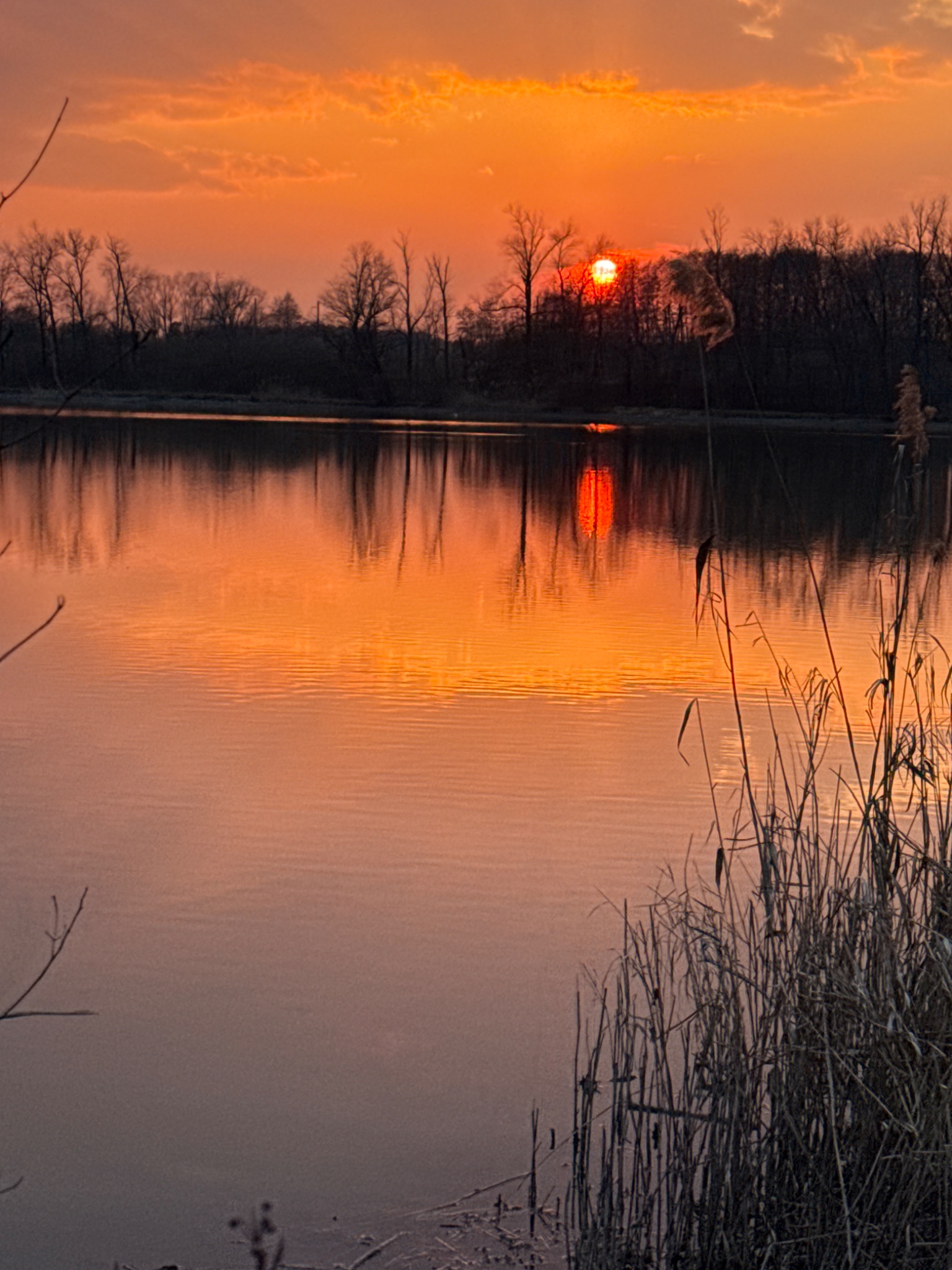 OriginalPhoto 795631207.487236