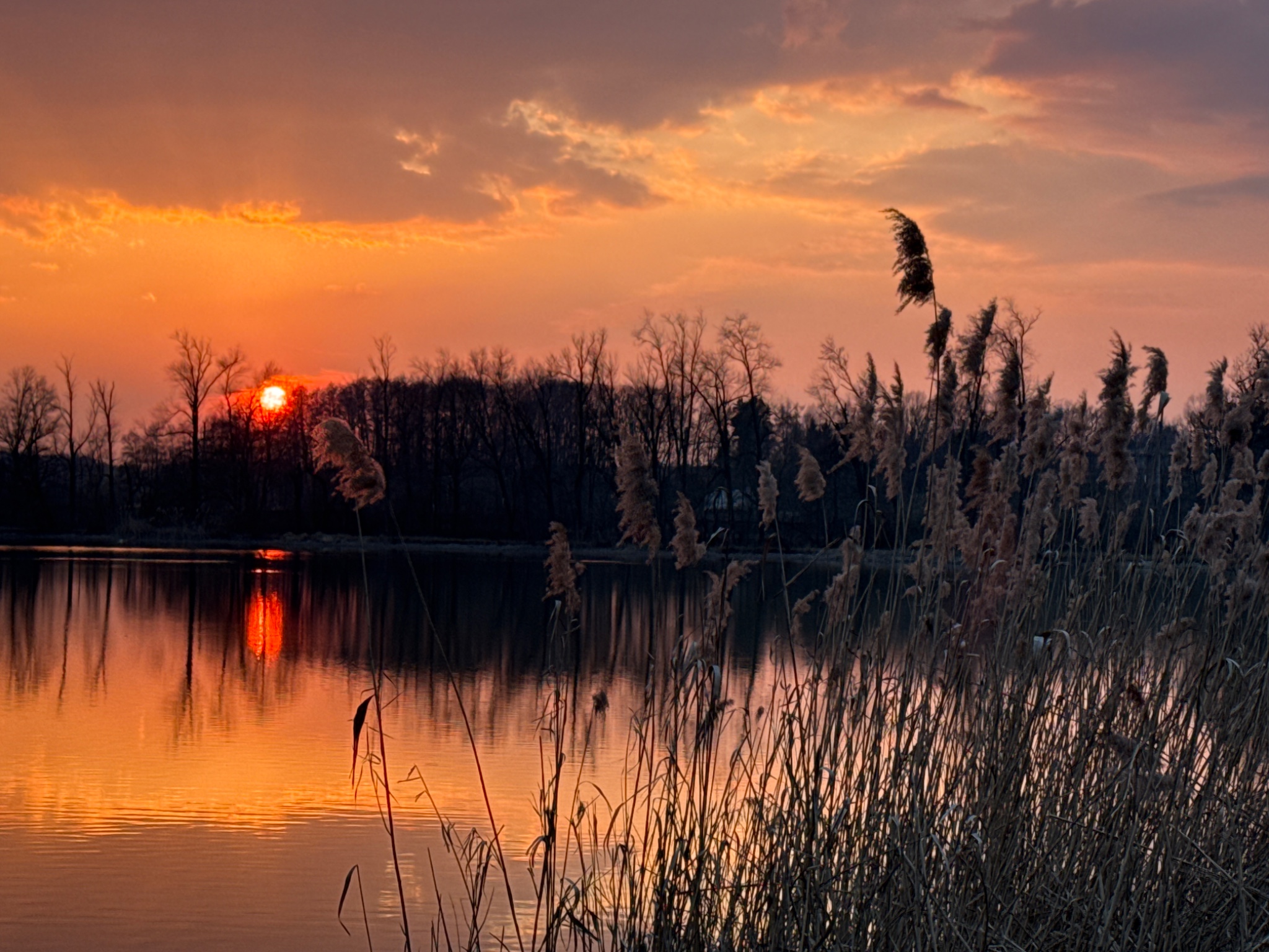 OriginalPhoto 795631214.513004