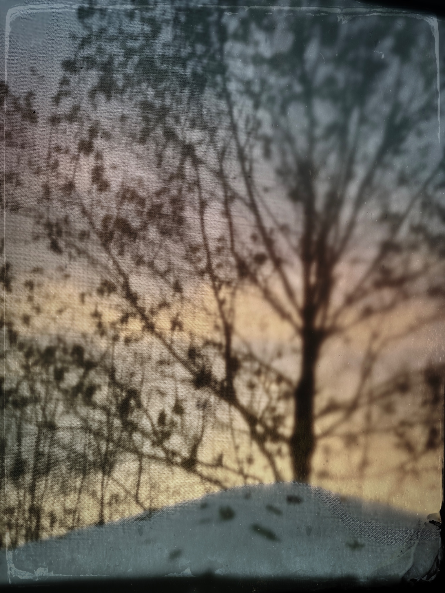 TTInputImage 753979668.722123