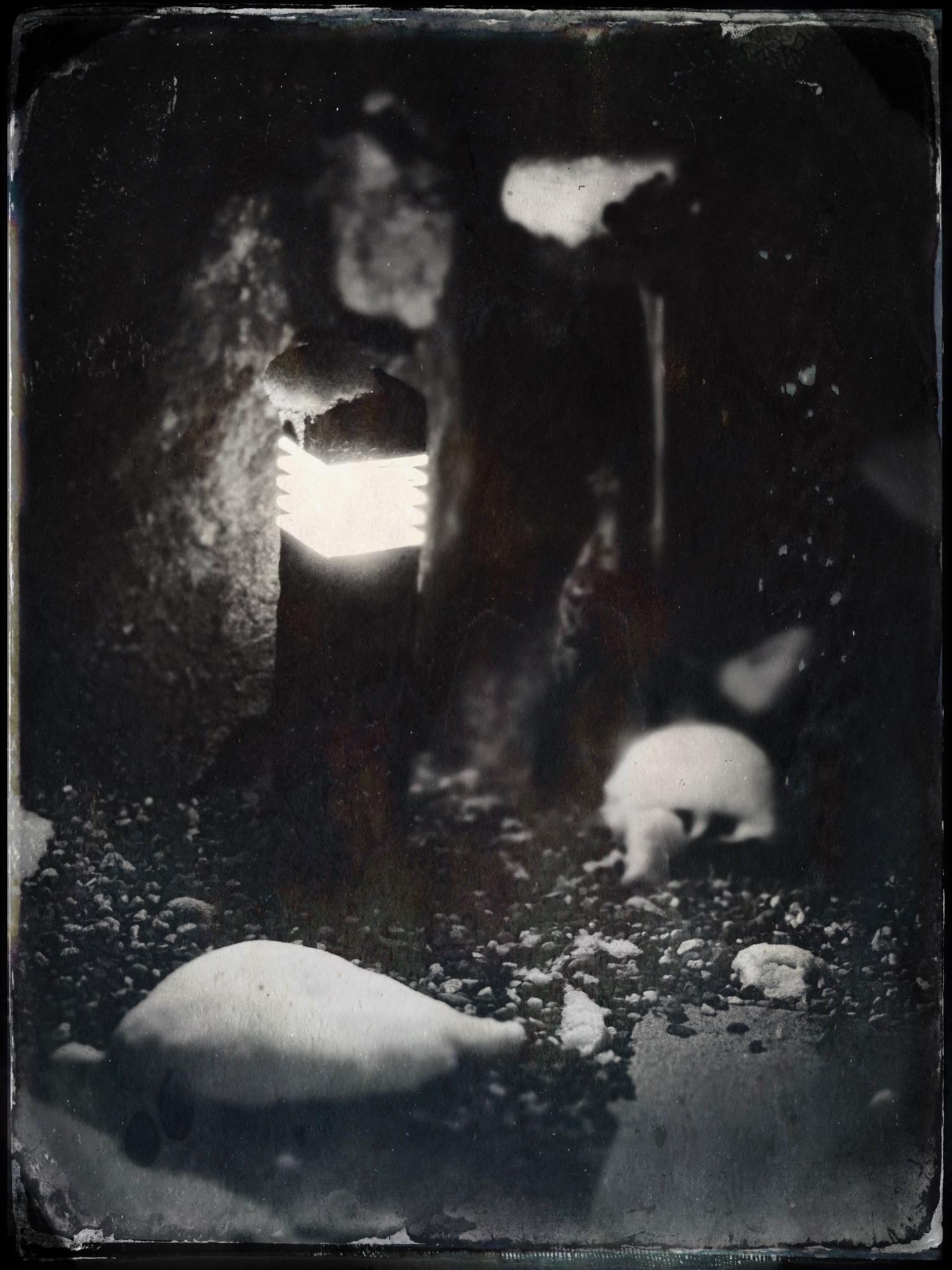 TTInputImage 754078859.164857