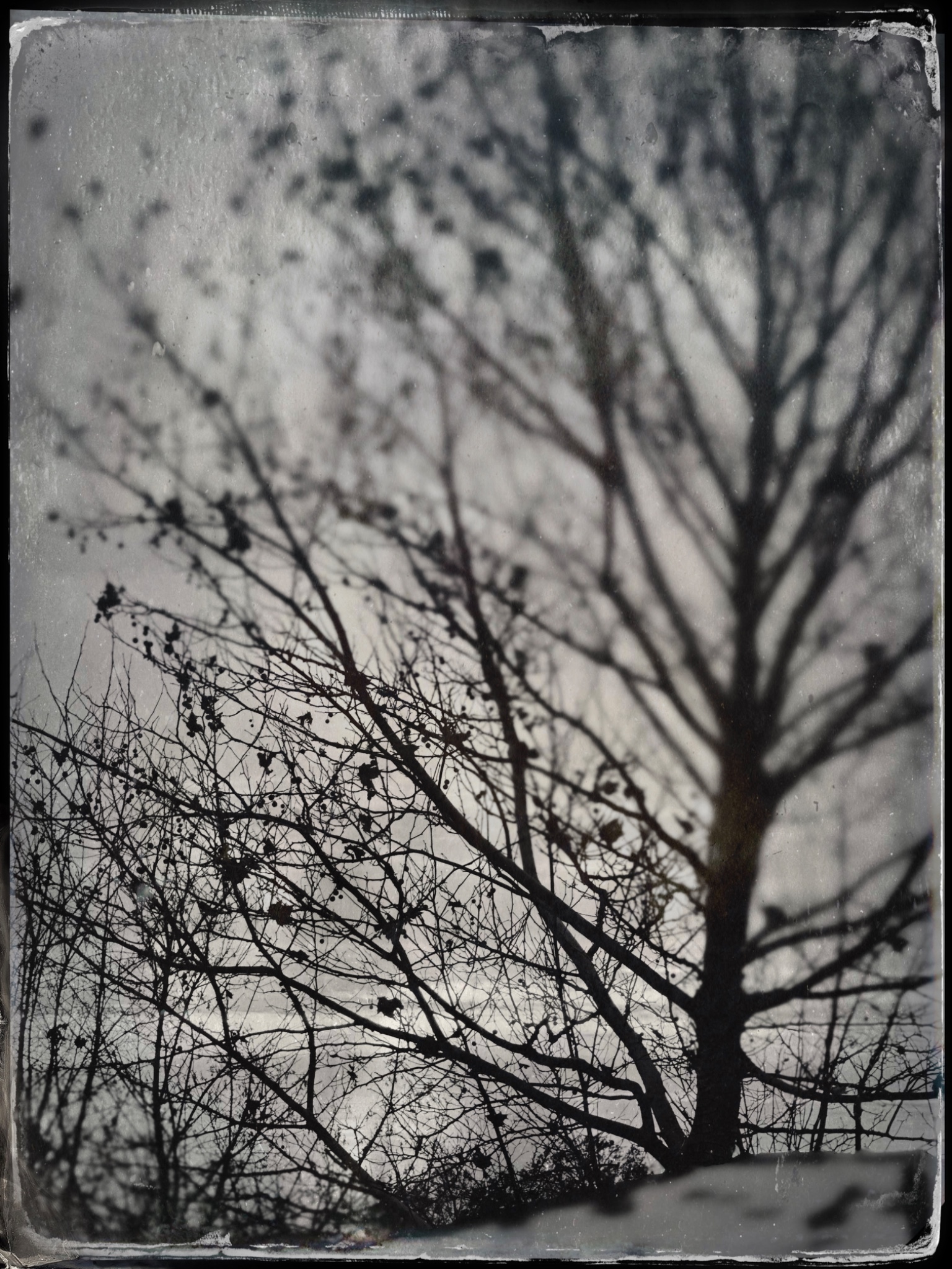 TTInputImage 754153459.450190