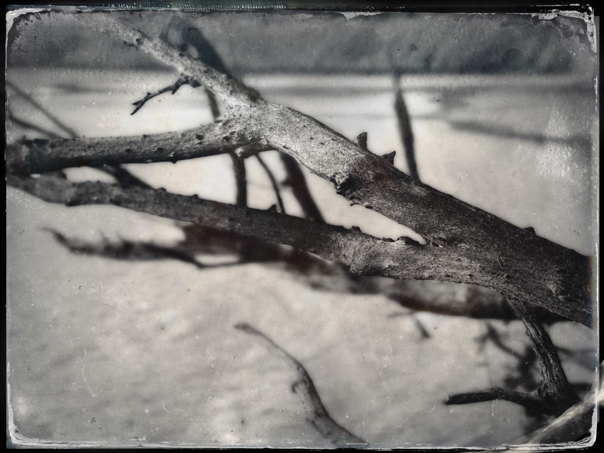 TTInputImage 754239142.158815