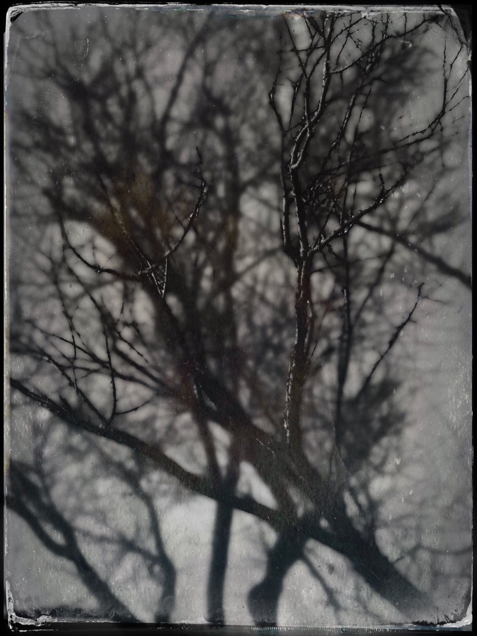 TTInputImage 754241192.598564