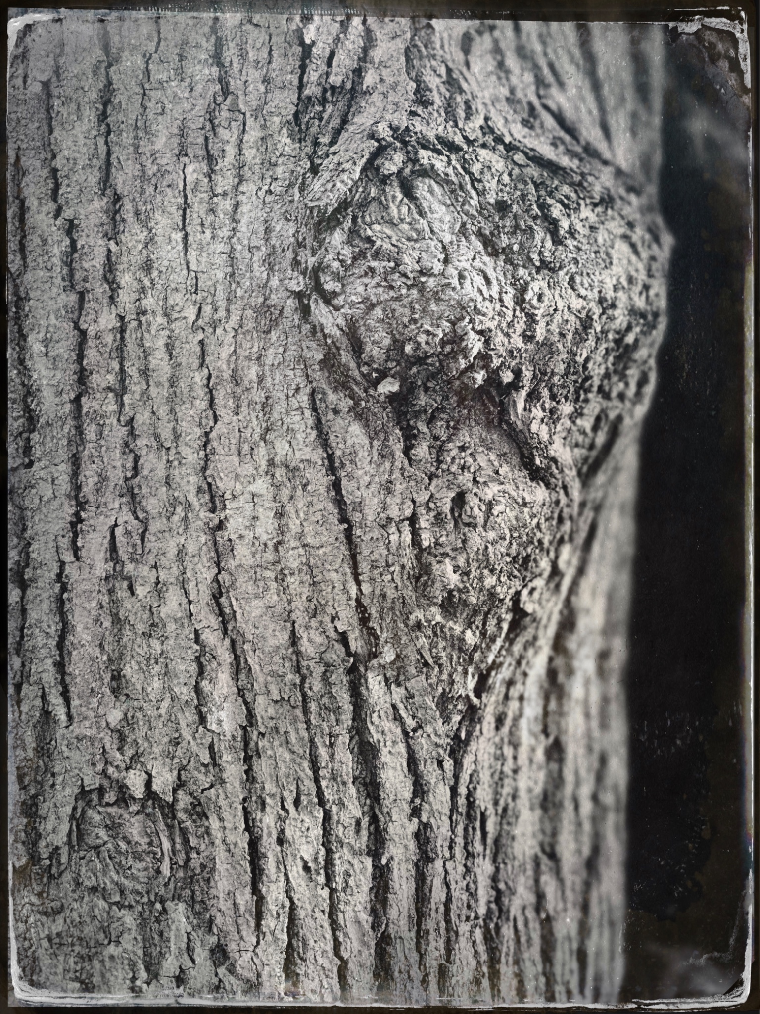 TTInputImage 754403275.731815