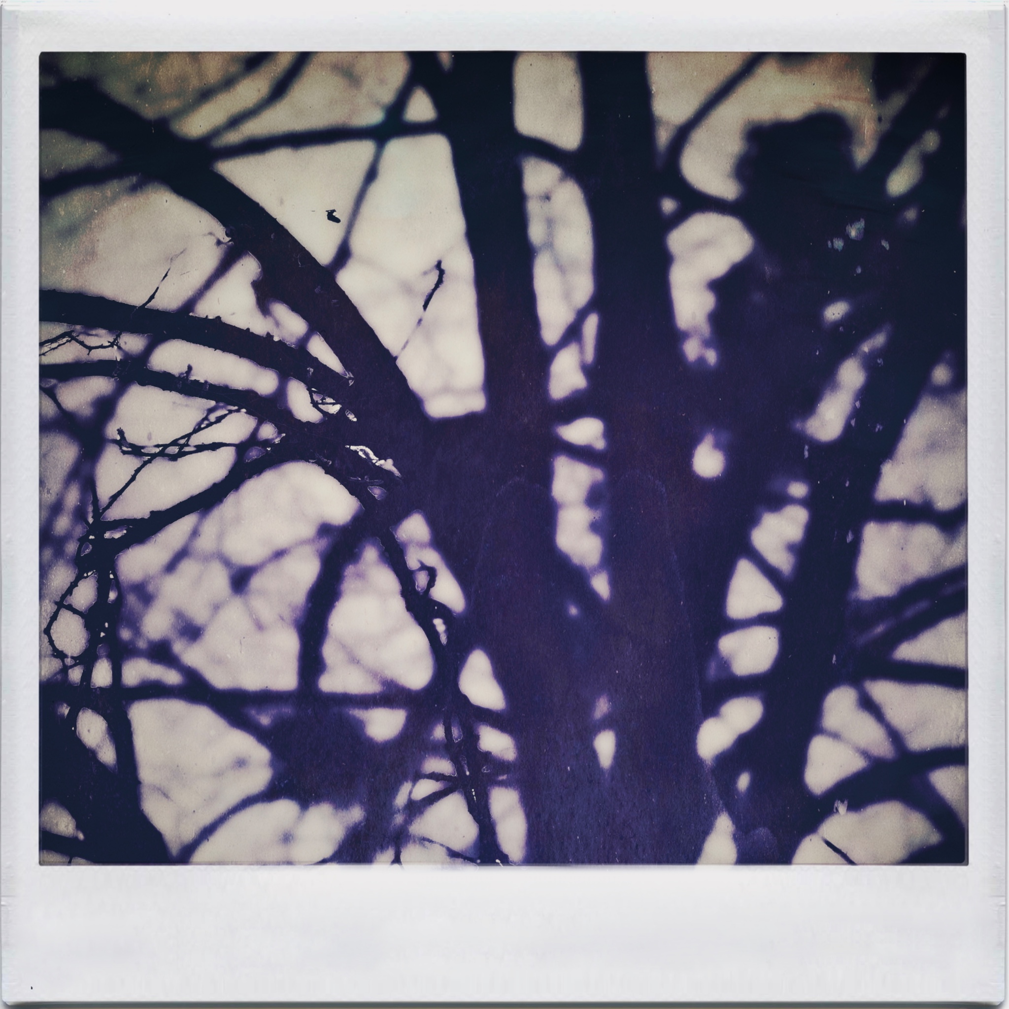 TTInputImage 754918518.571097