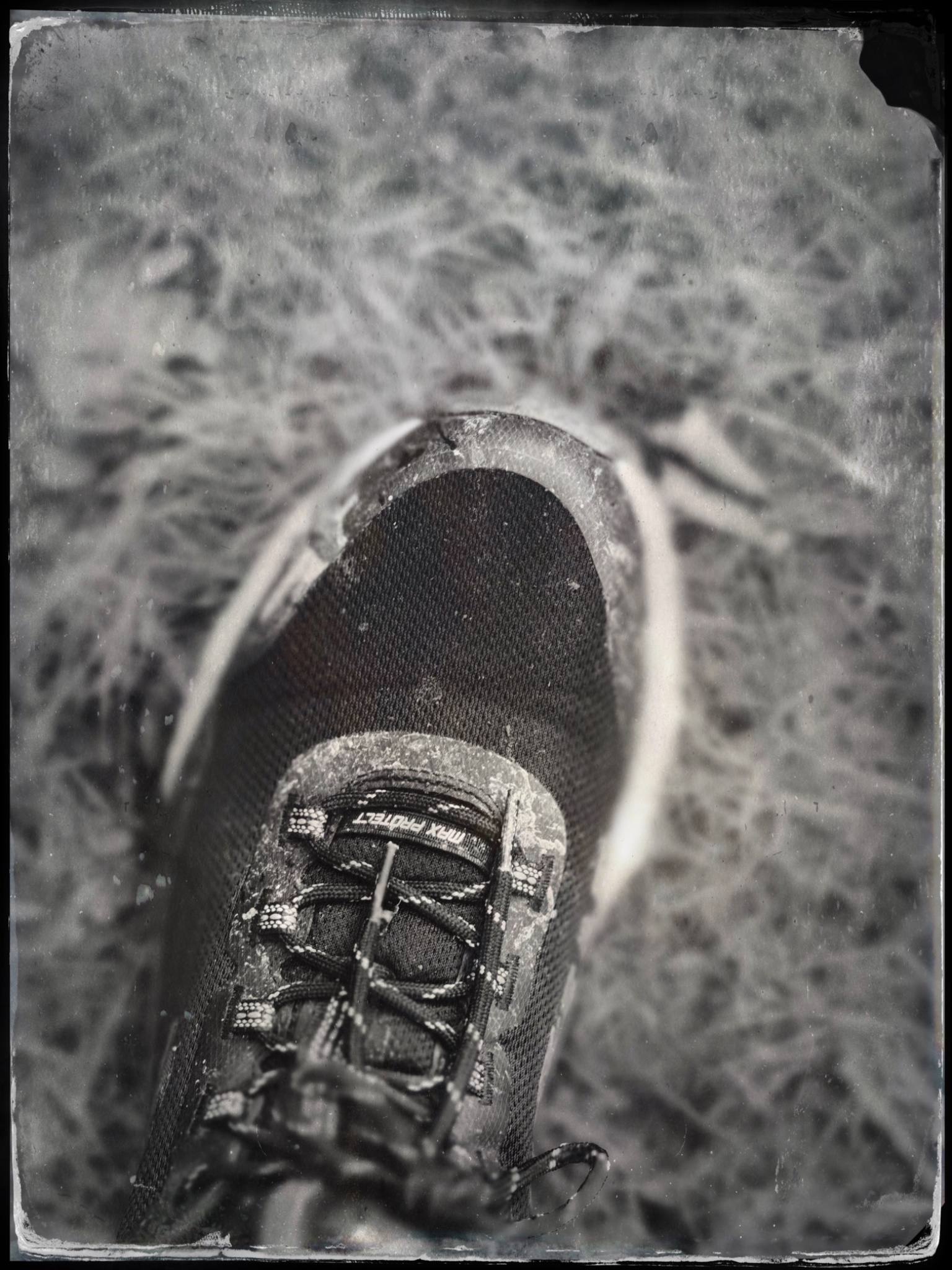 TTInputImage 756822931.313613