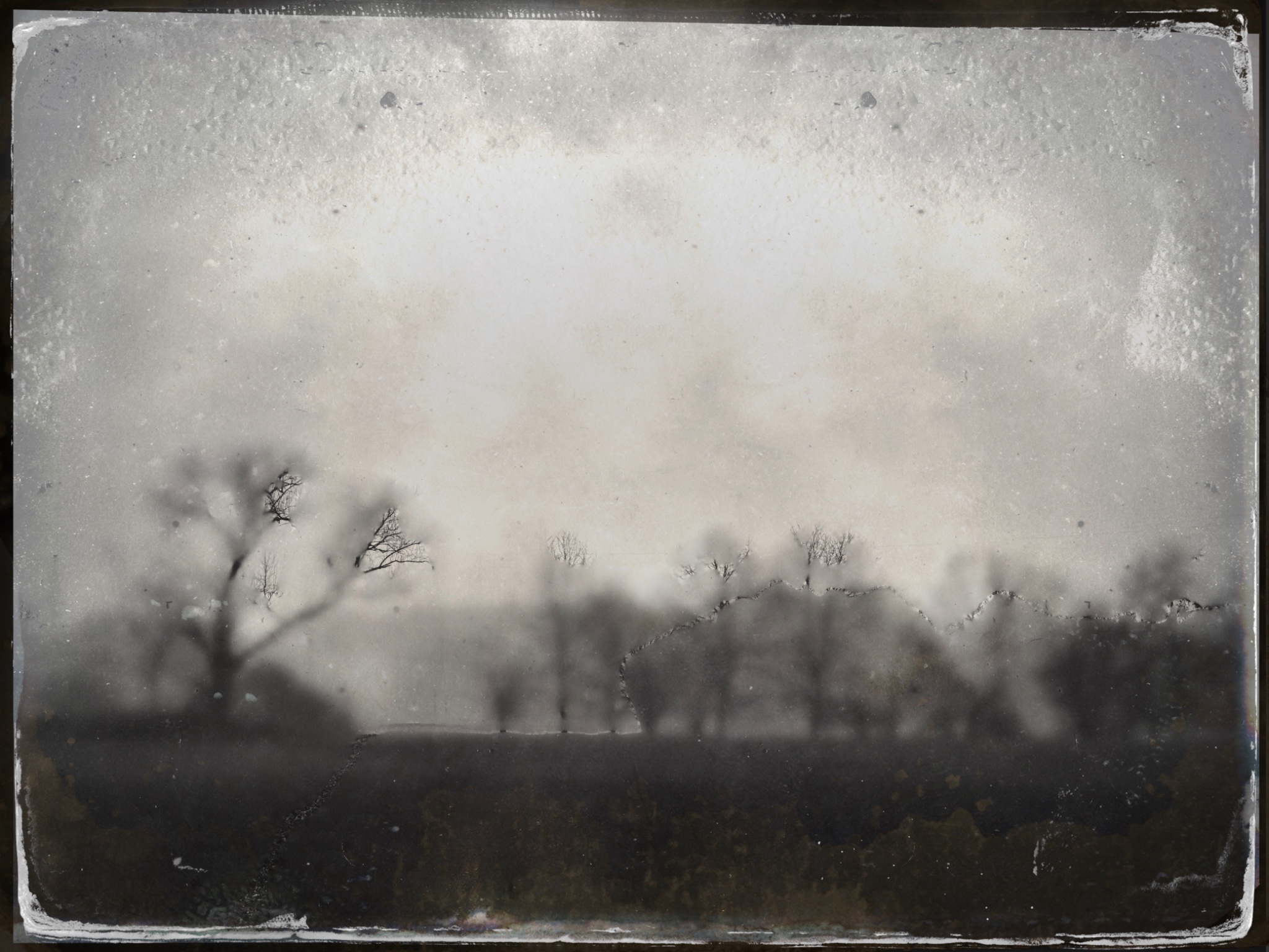 TTInputImage 757337945.953613