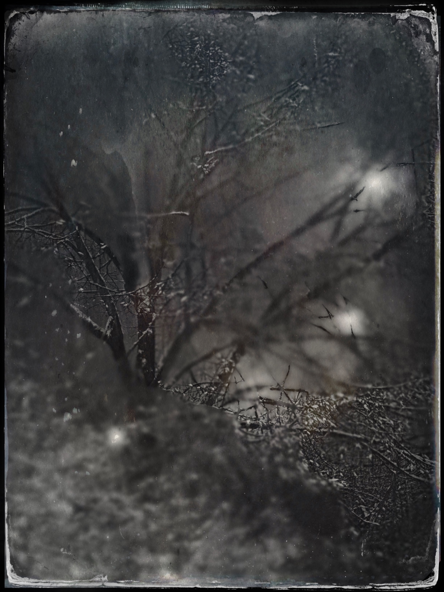 TTInputImage 757532502.310836