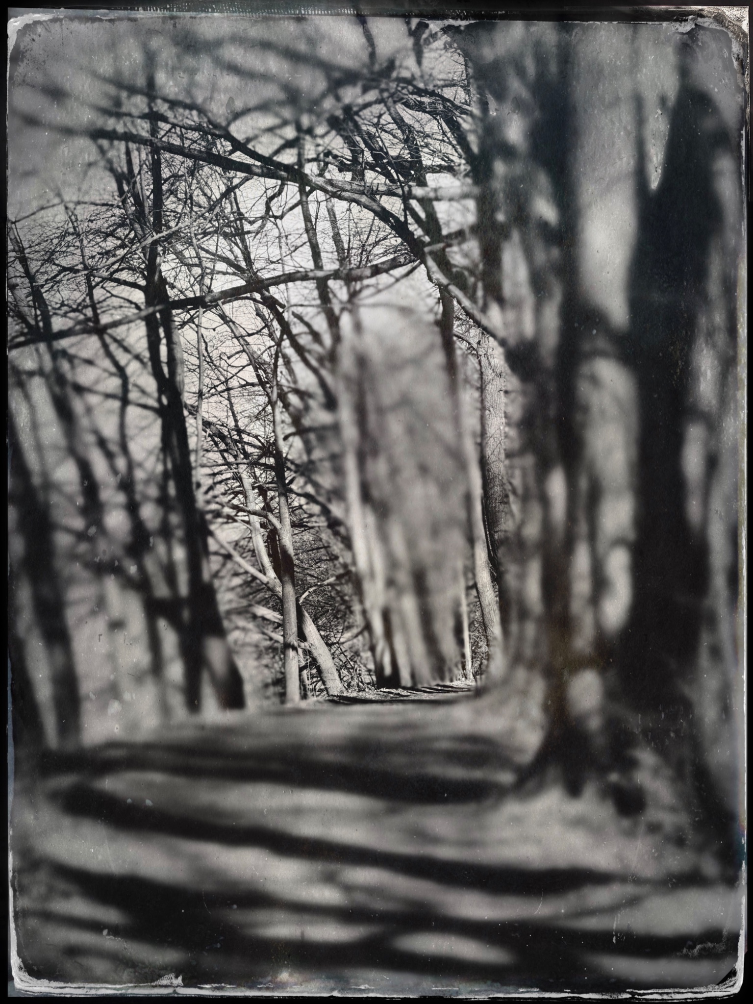 TTInputImage 764074246.215382