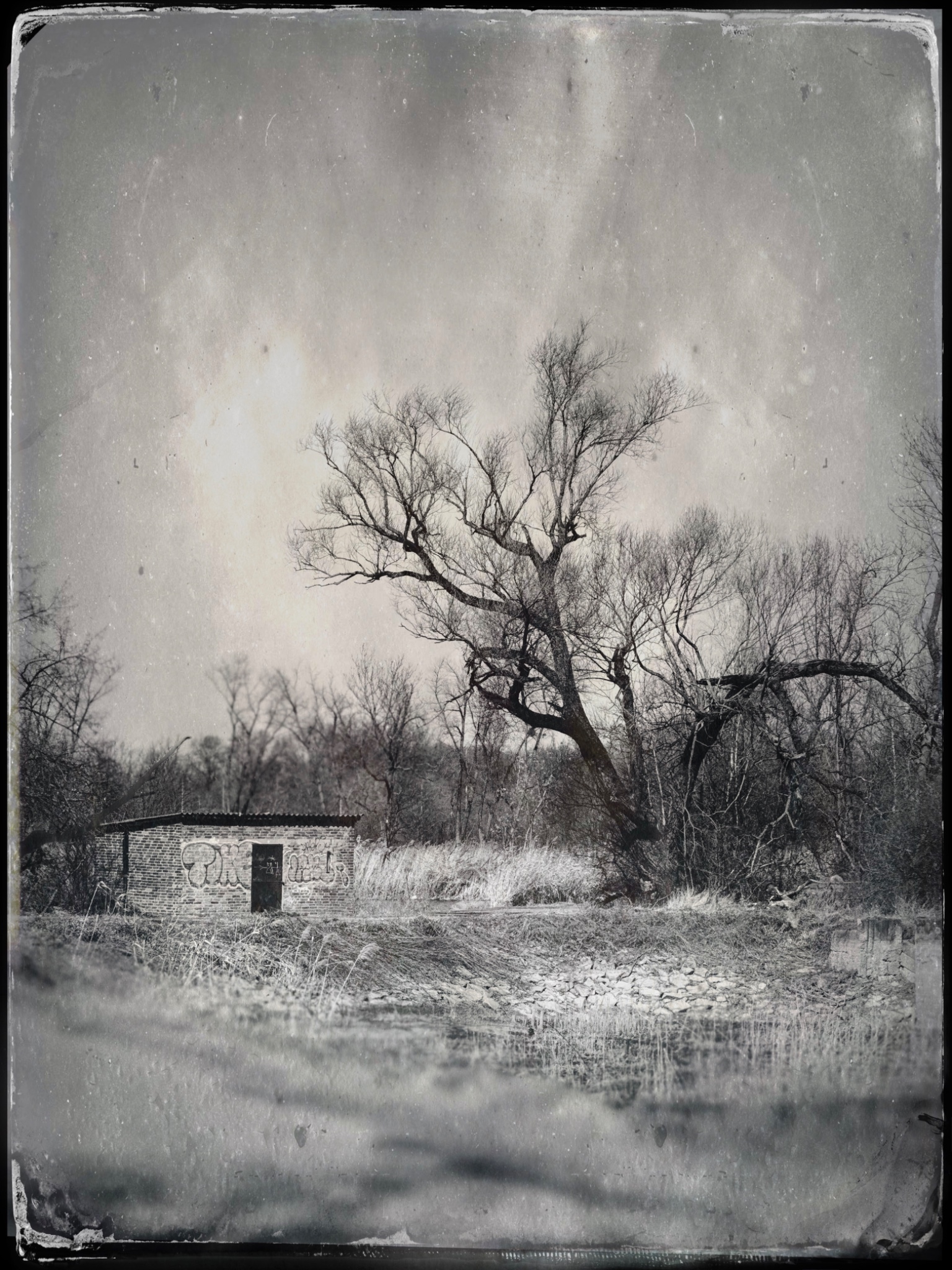 TTInputImage 764074402.524326