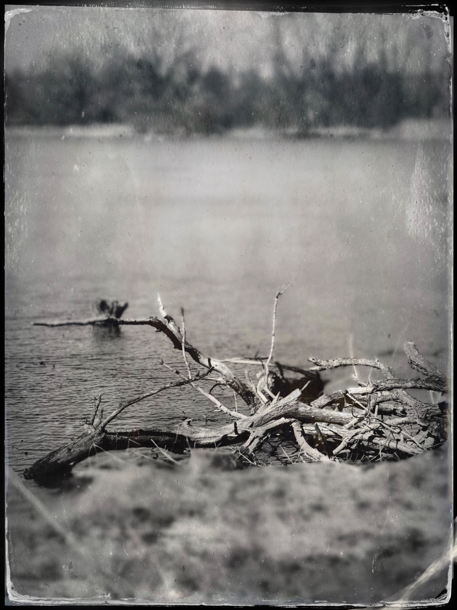 TTInputImage 764074559.363833