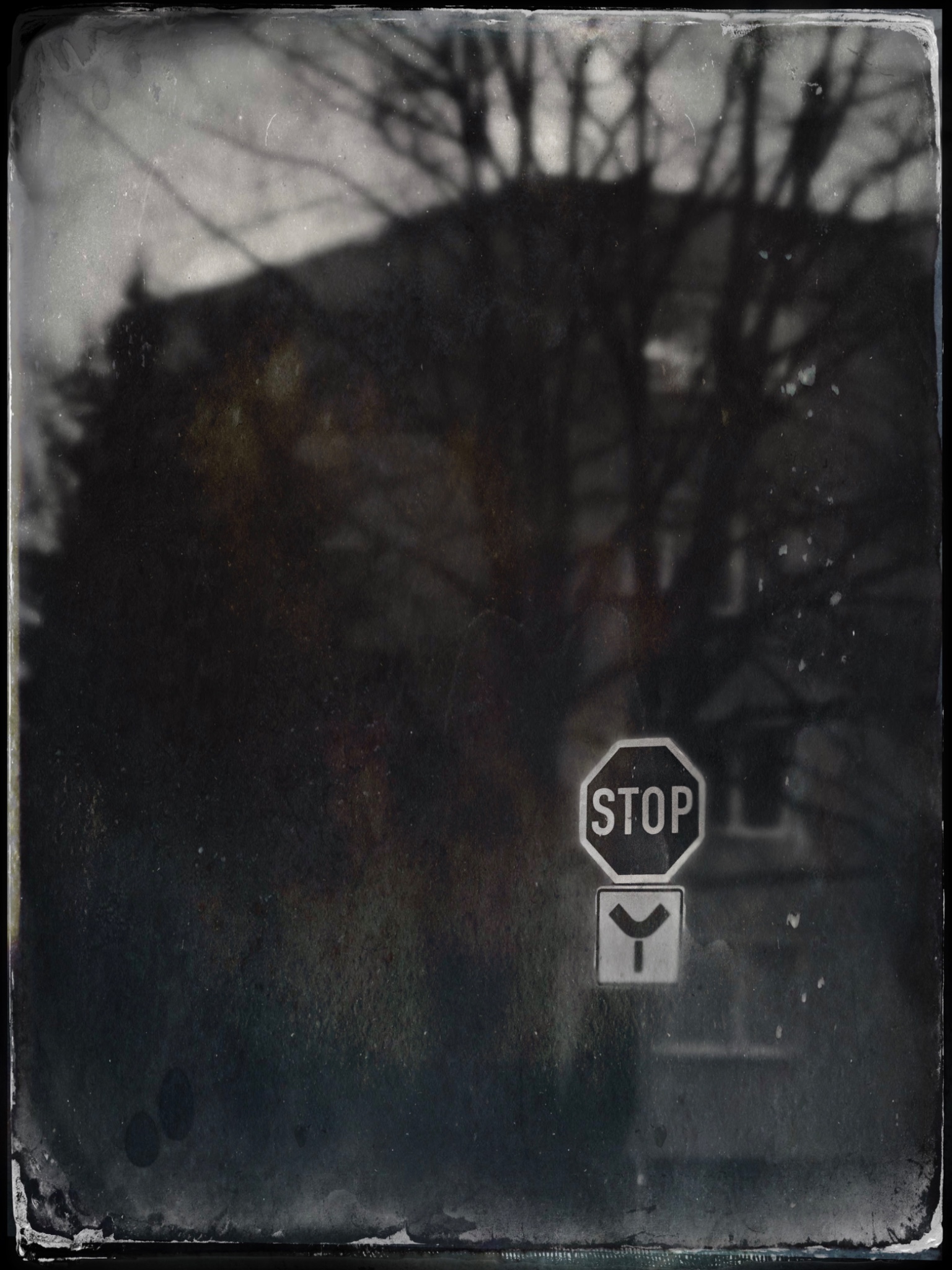 TTInputImage 765308581.981692