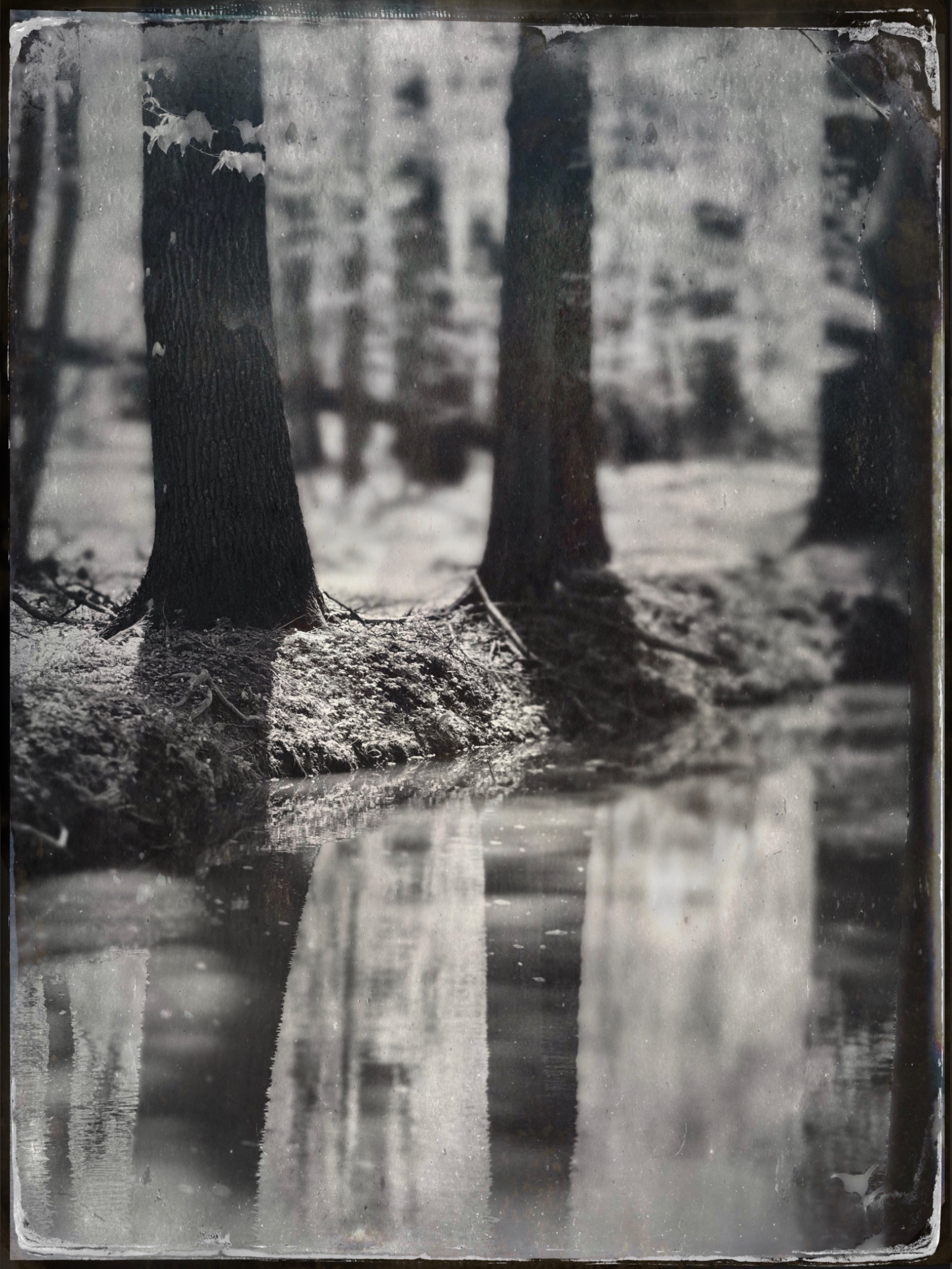 TTInputImage 766493055.055255