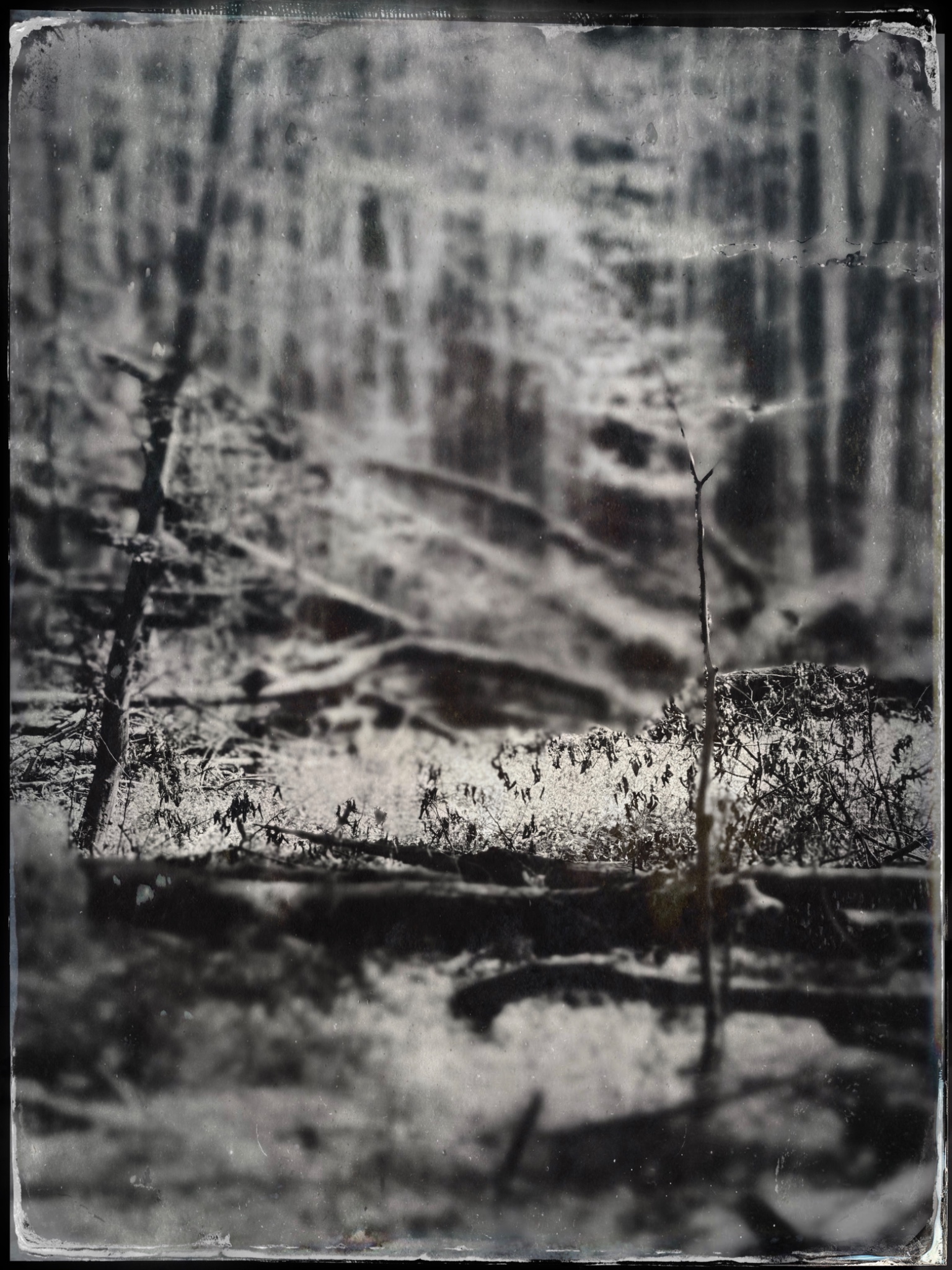 TTInputImage 766493067.114909