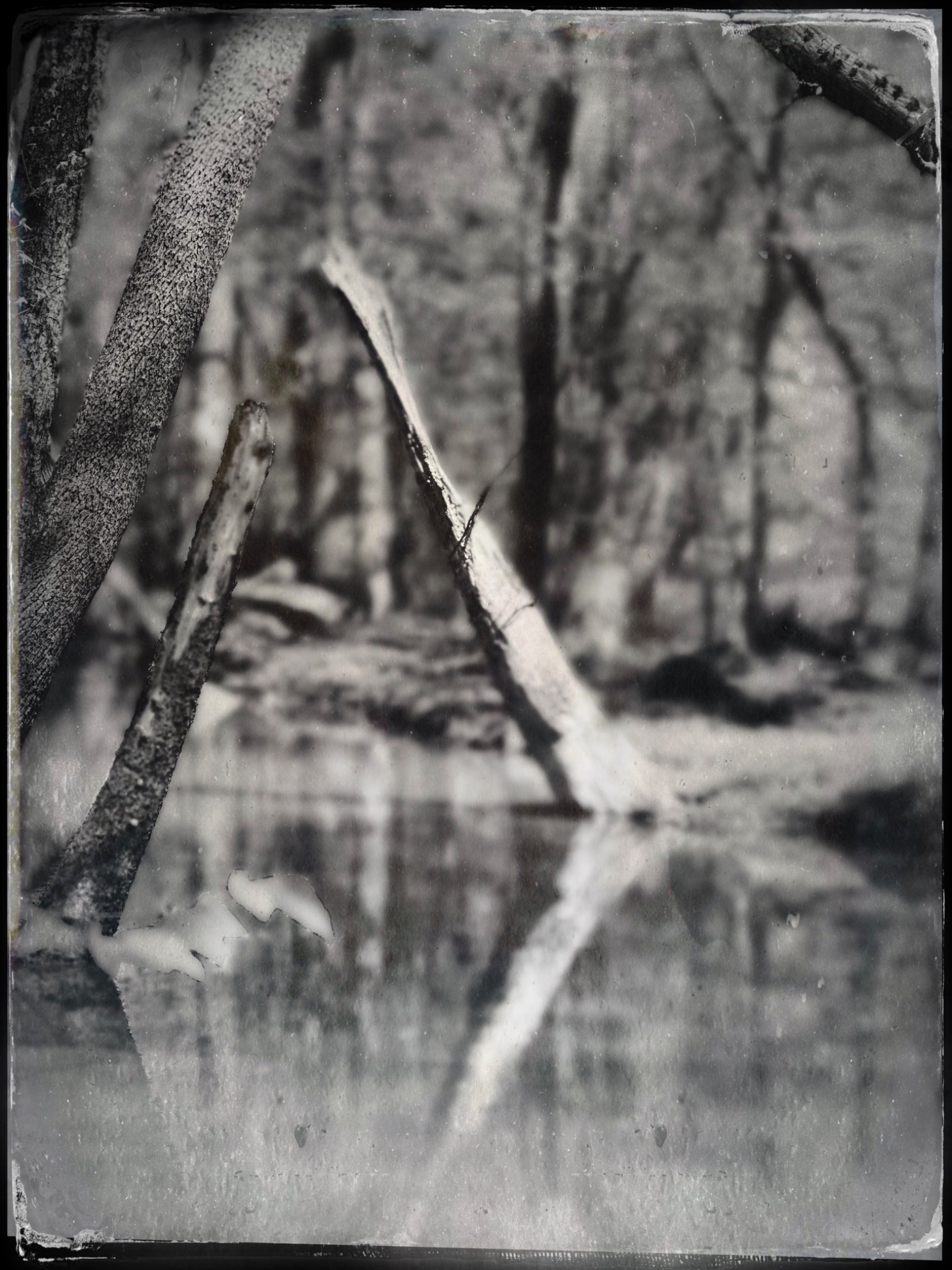 TTInputImage 766493253.827299