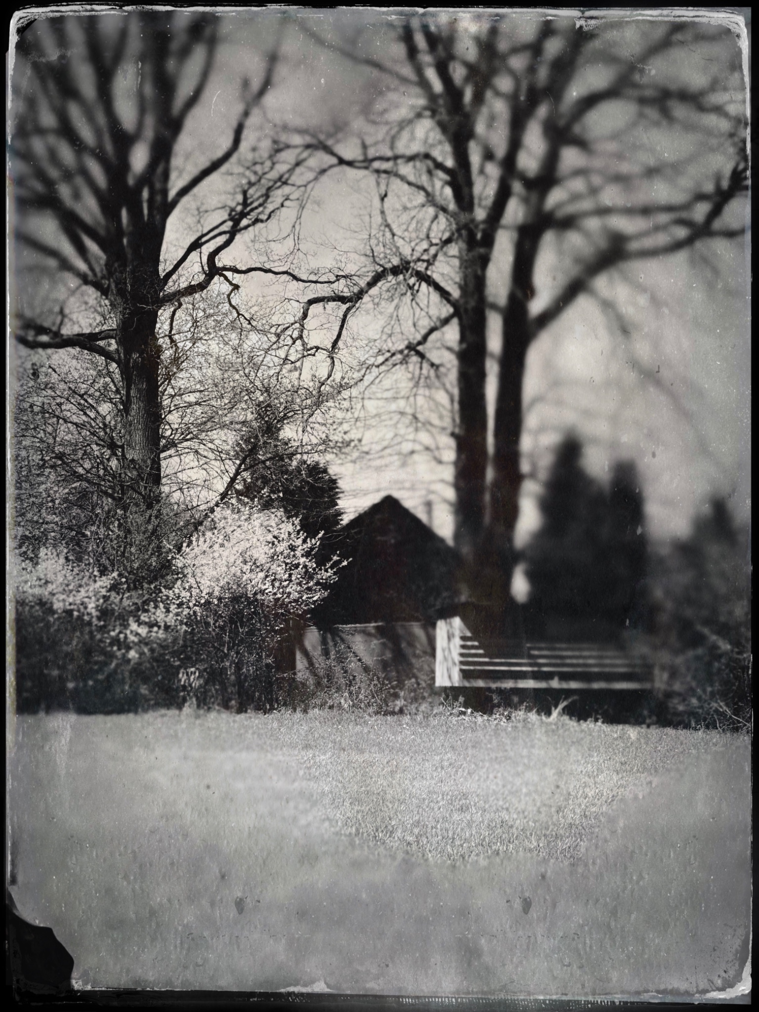 TTInputImage 766493446.576319