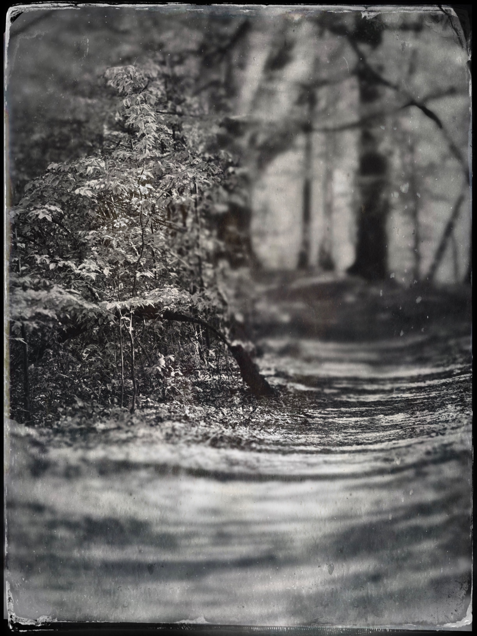 TTInputImage 767007537.872757