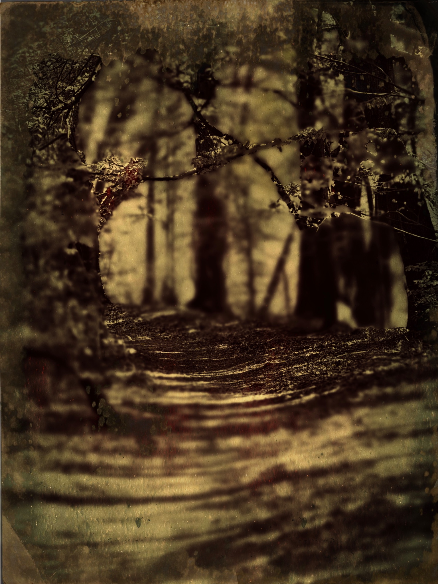 TTInputImage 767007548.704496