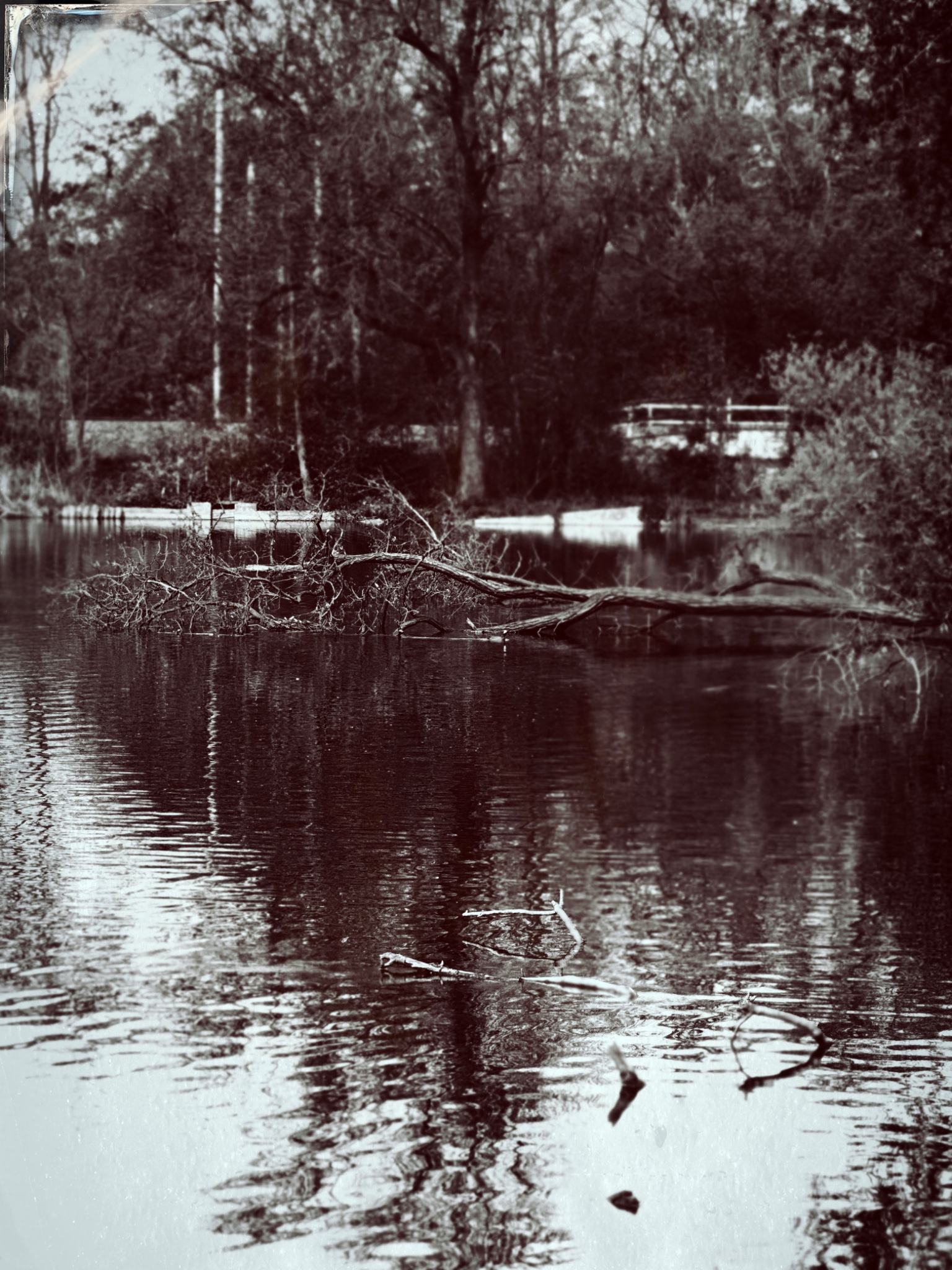 TTInputImage 767180423.983139