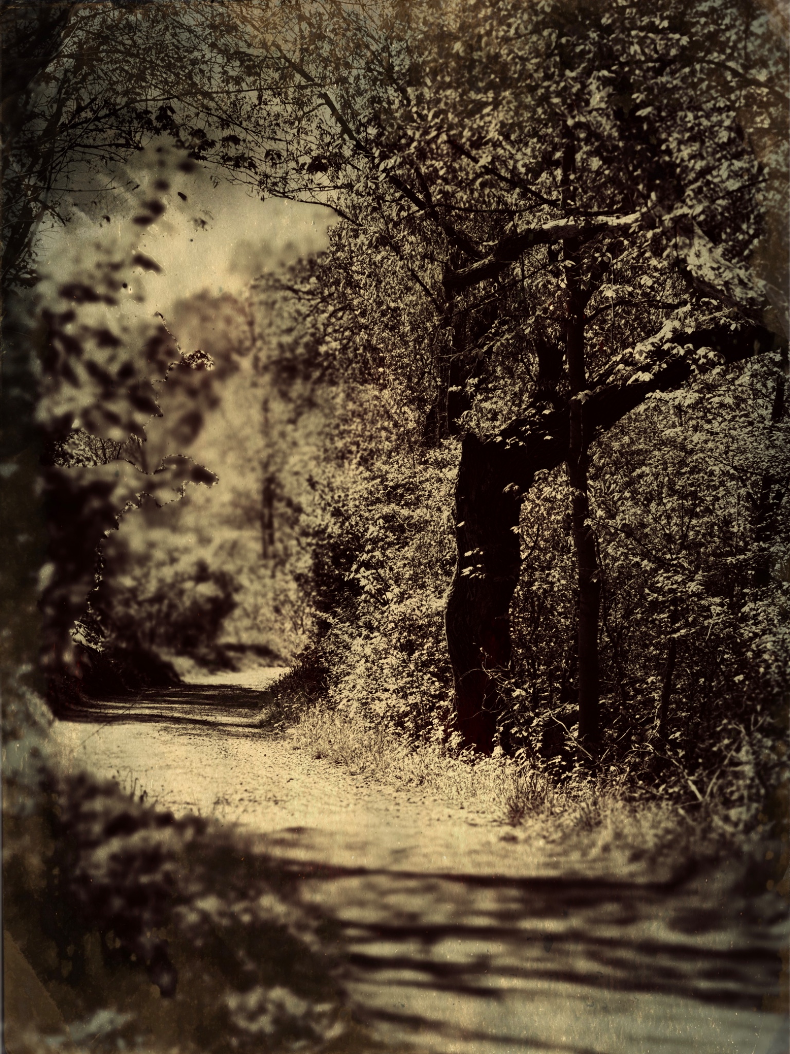 TTInputImage 767523152.454579