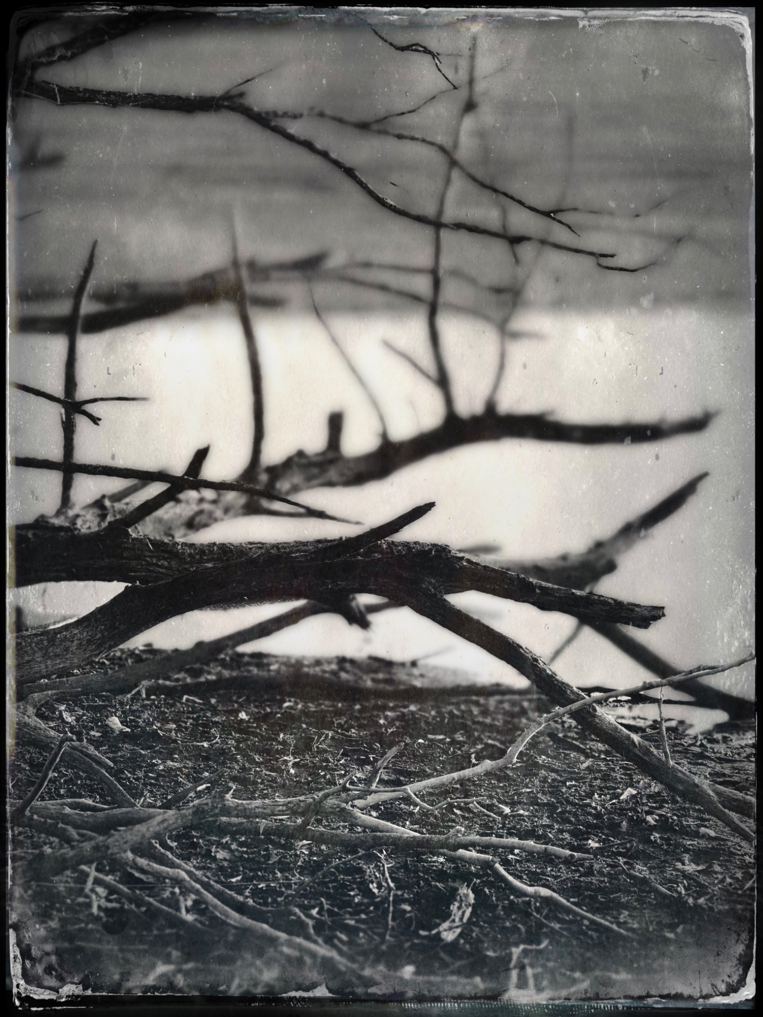 TTInputImage 794246096.593345