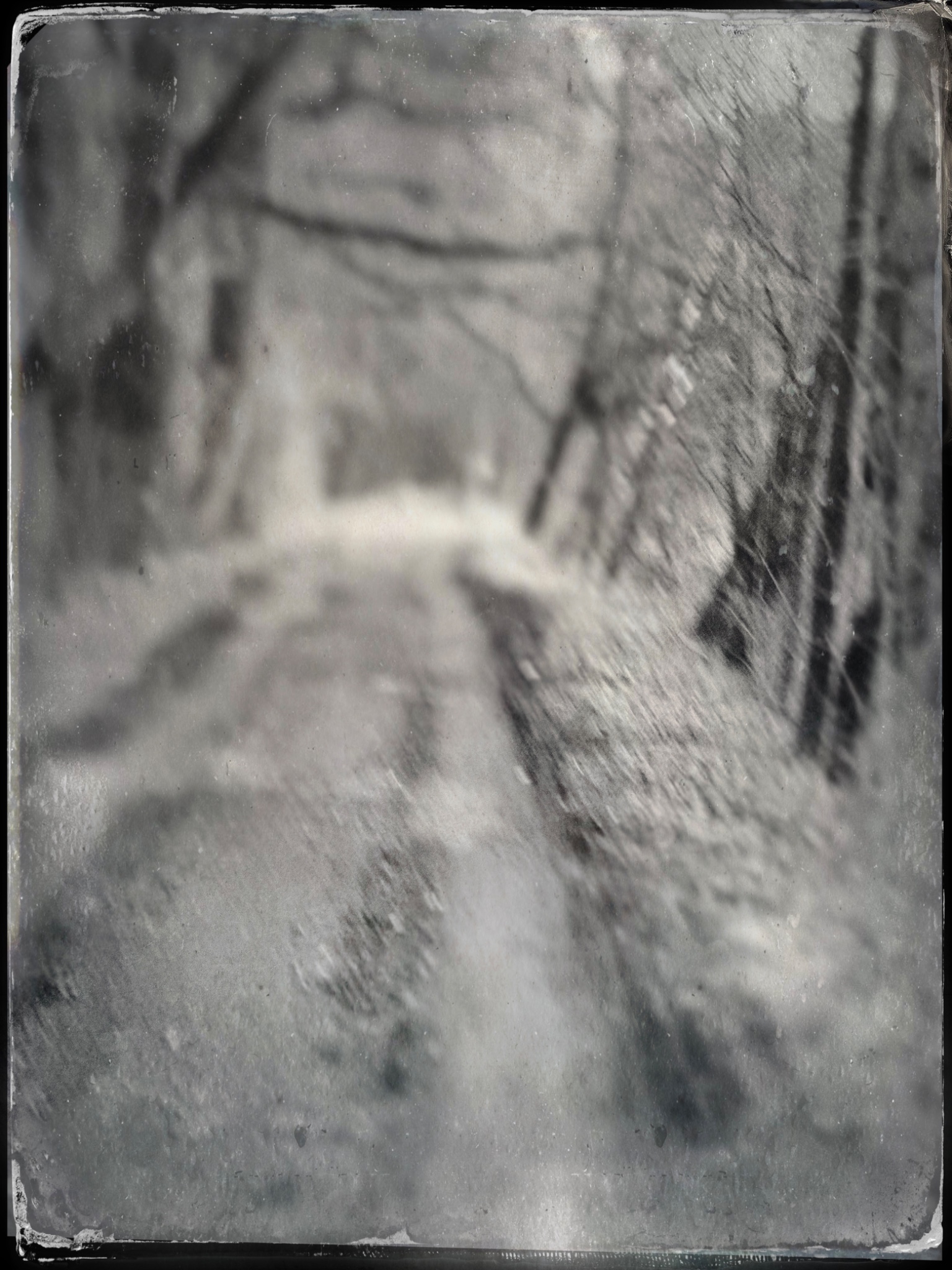 TTInputImage 794247474.418788