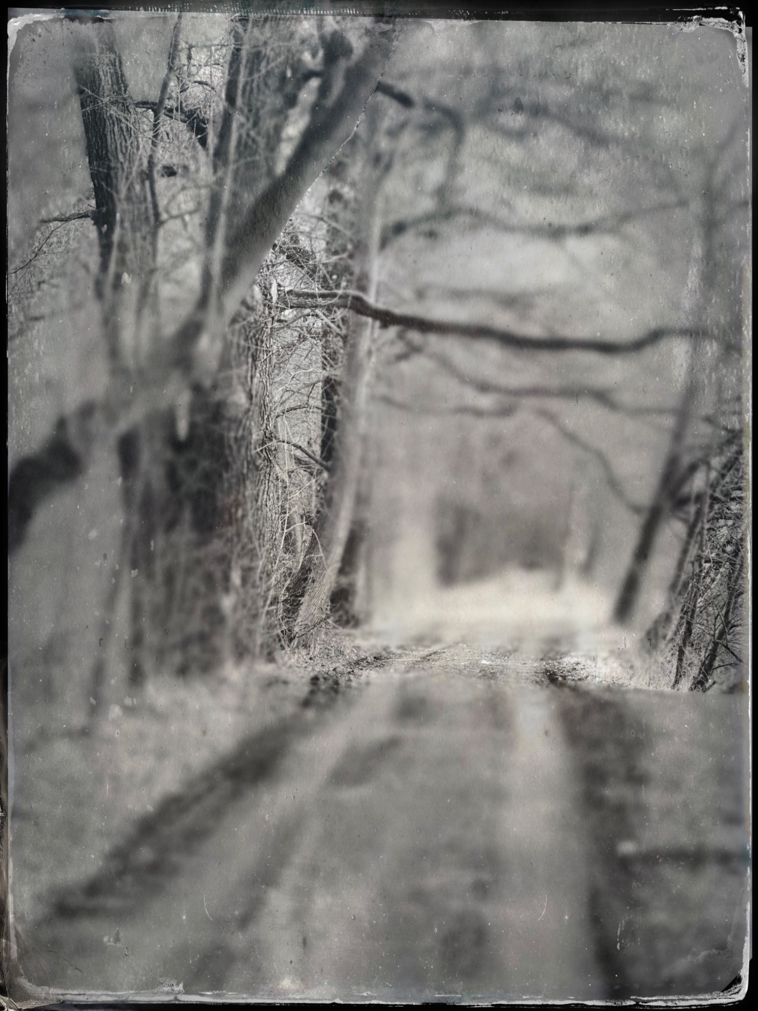 TTInputImage 794247485.089372