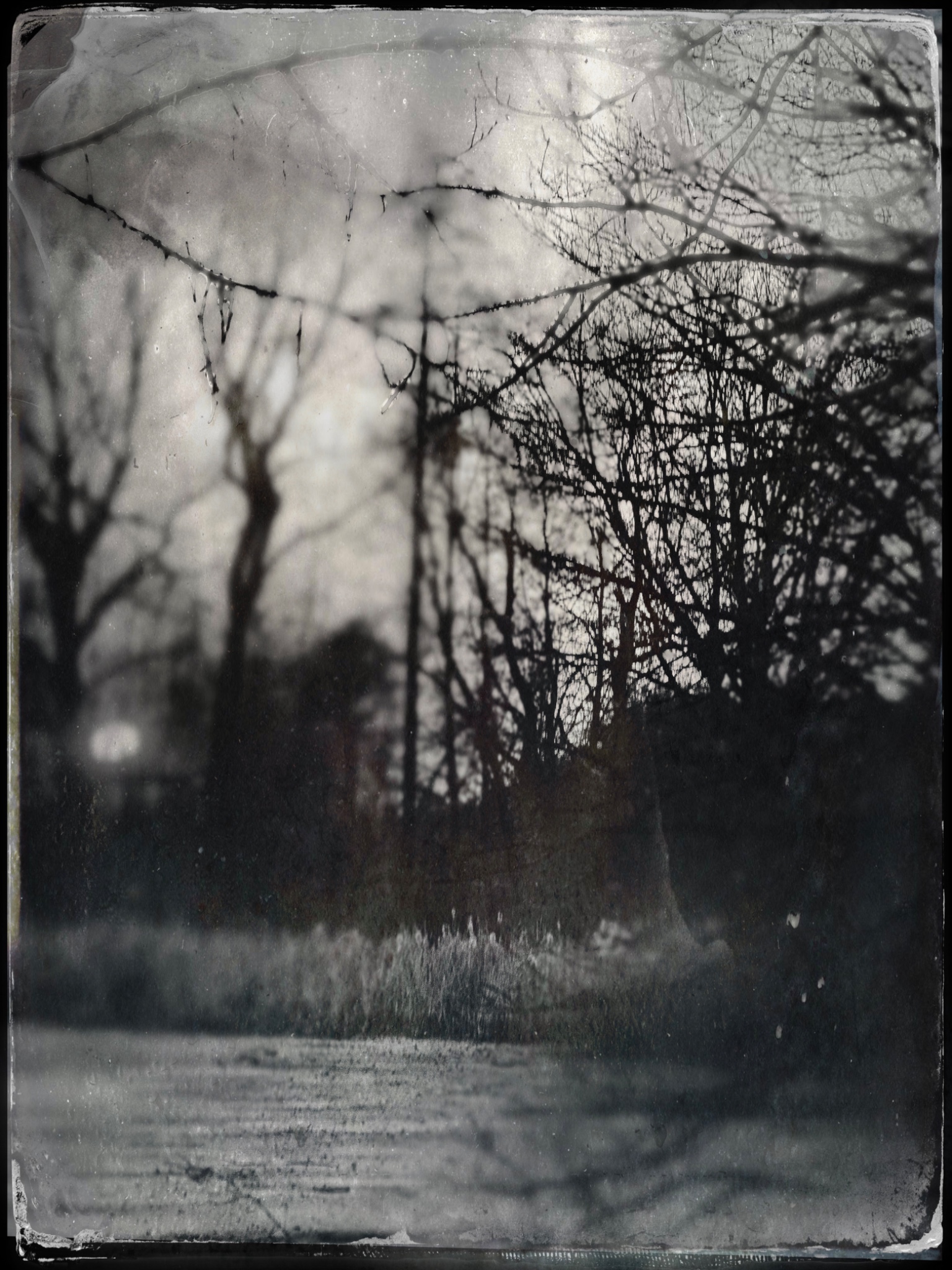 TTInputImage 794247515.137619