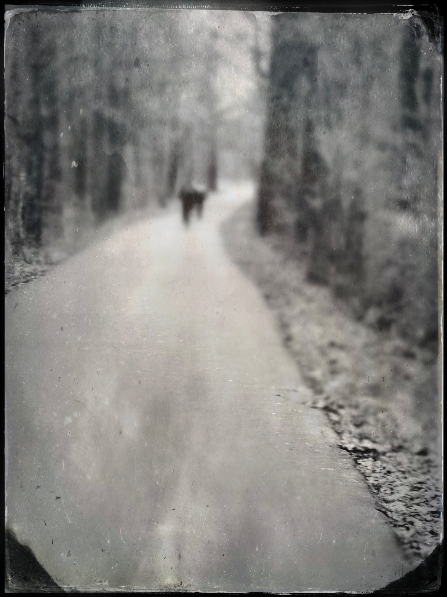 TTInputImage 796927792.454011