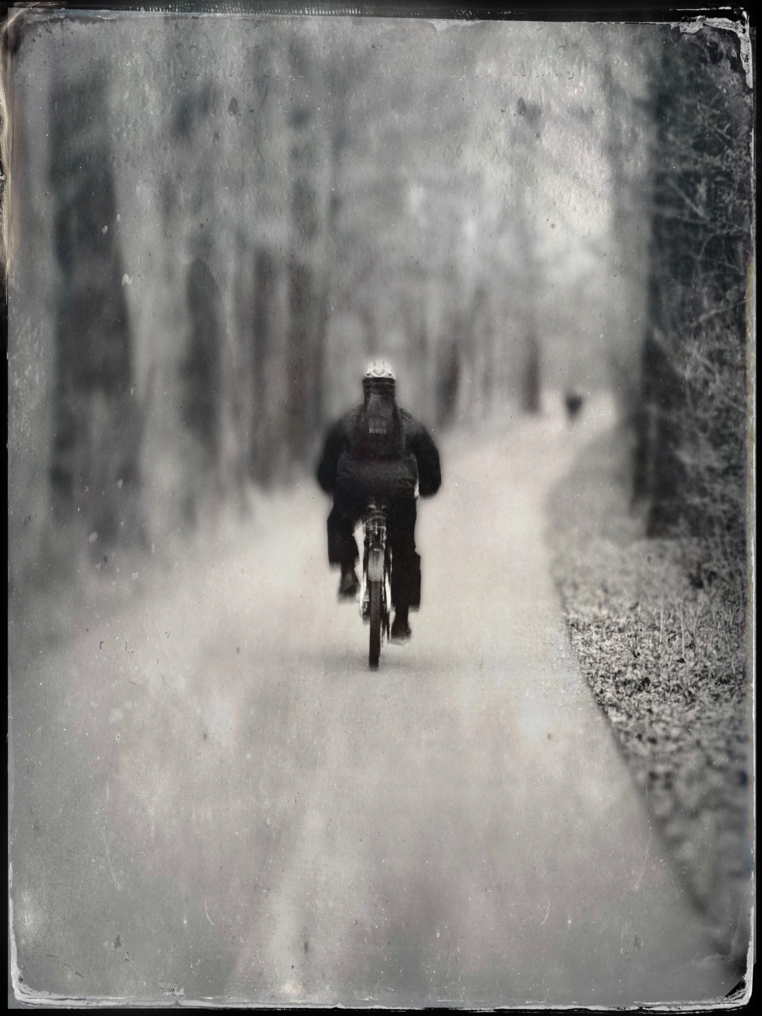 TTInputImage 796927805.494626