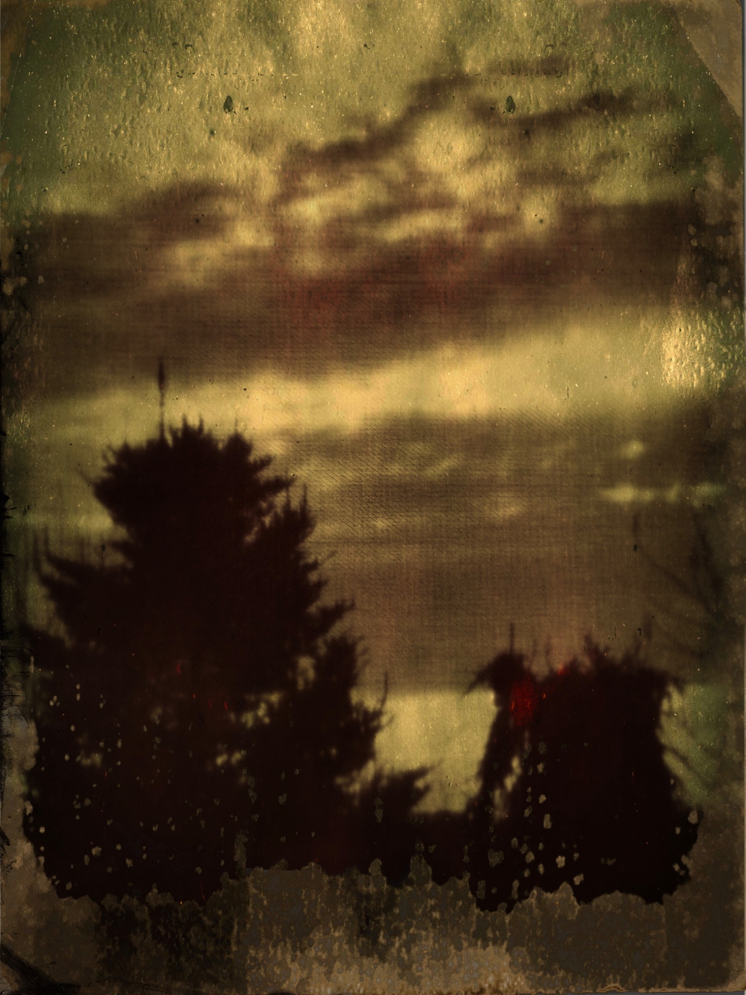 TinType 756220809.101442