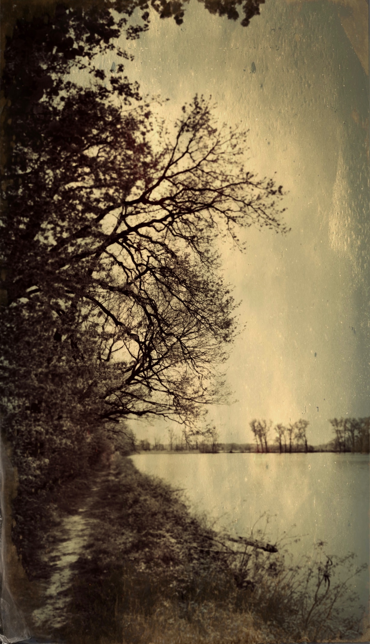 TinType 767180487.487388