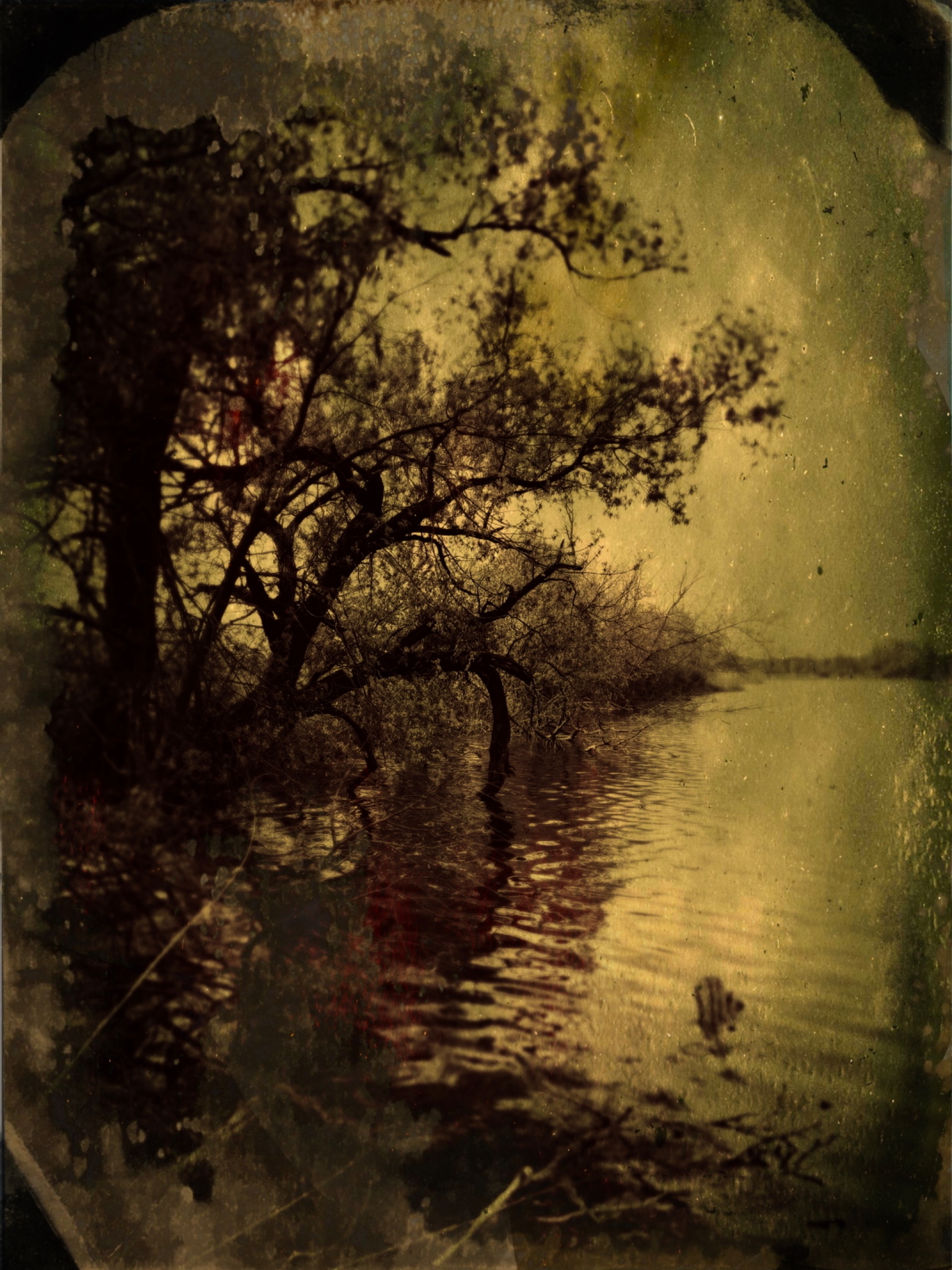 TinType 767180853.126480