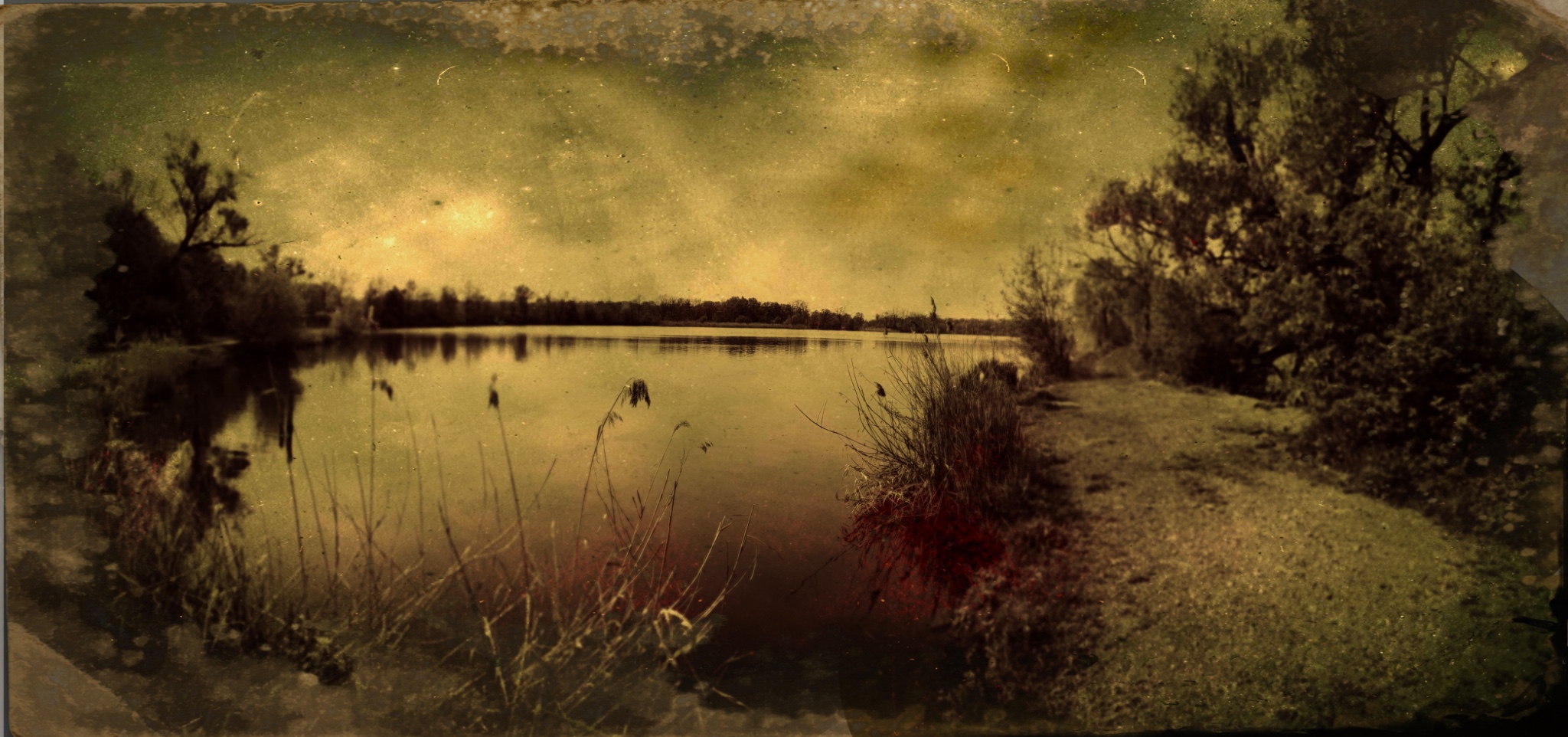 TinType 767180926.733398