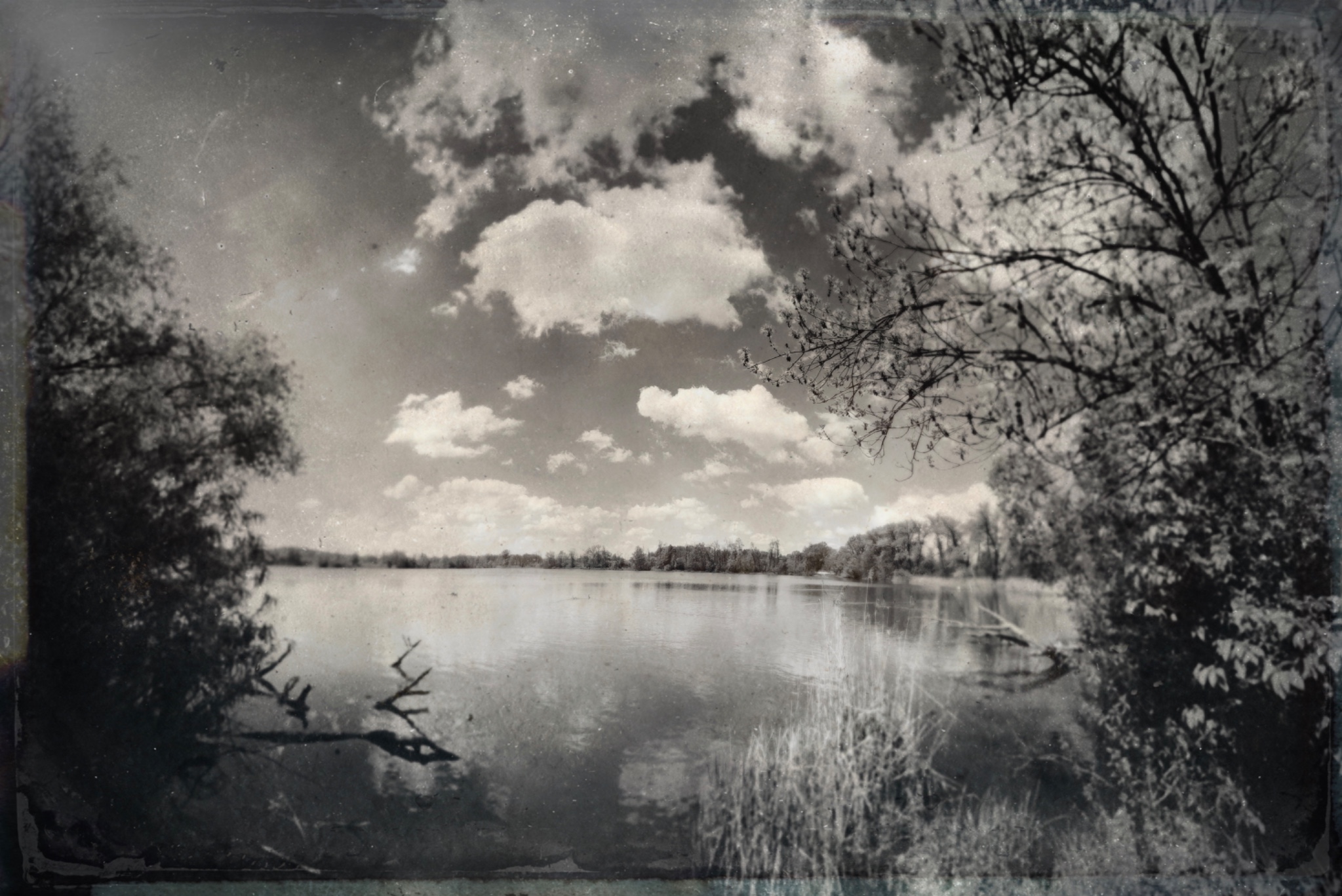 TinType 767359701.677767