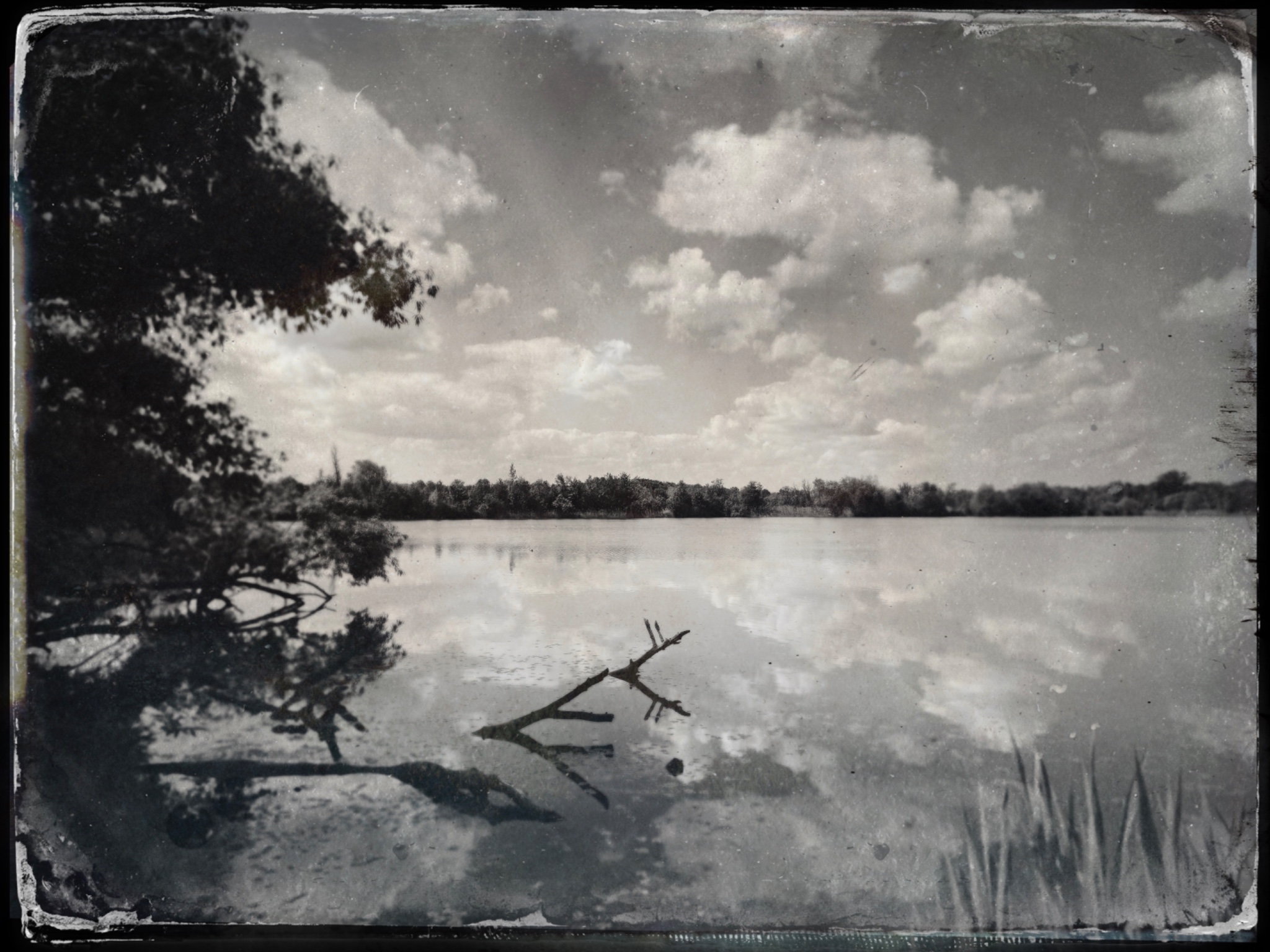 TinType 768733384.216143