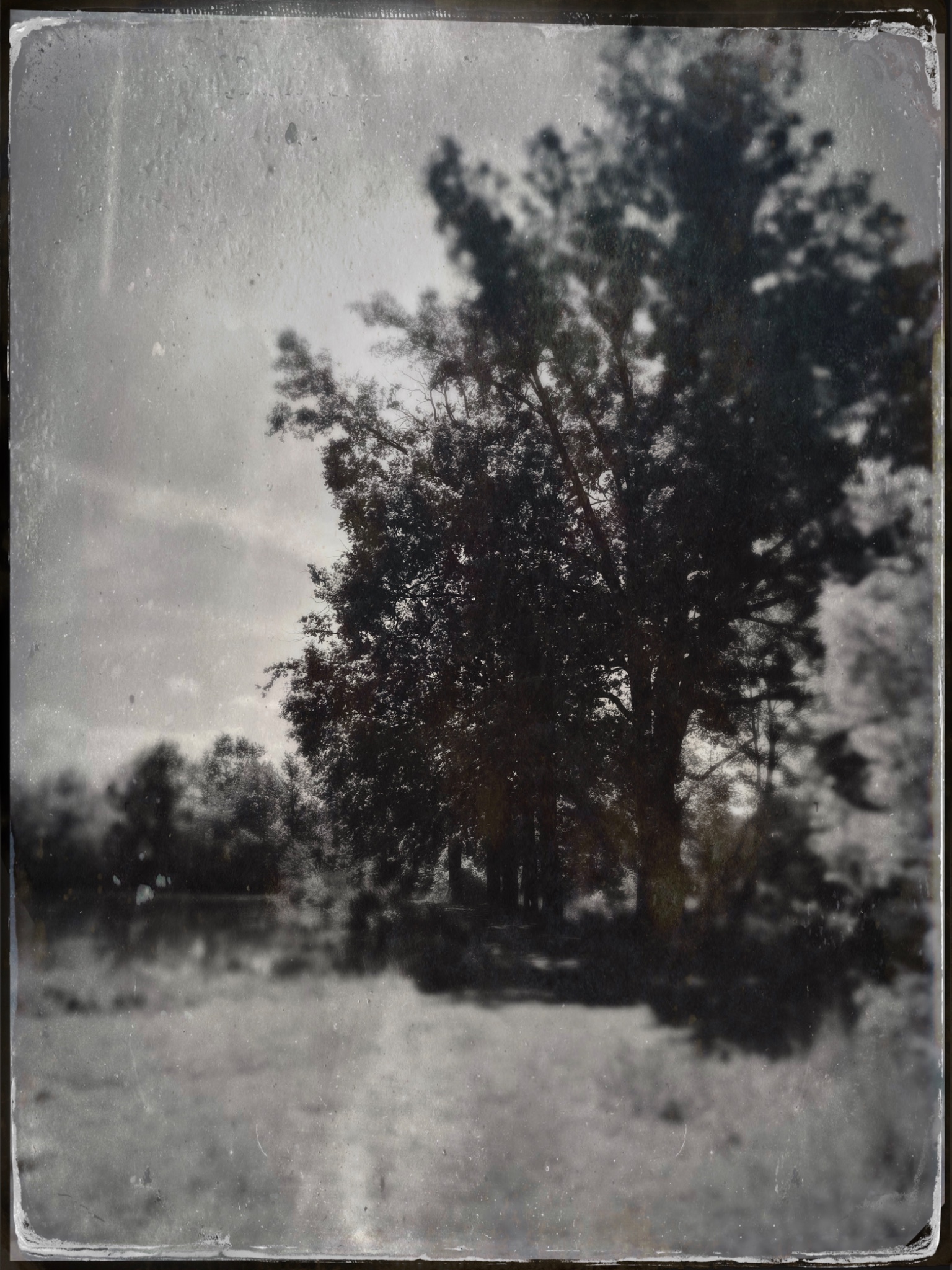 TinType 769514289.053544