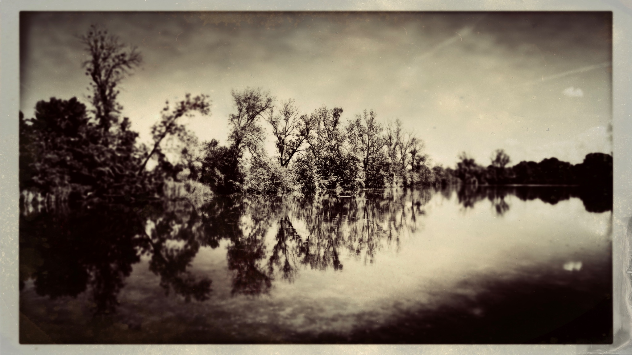 TinType 769514518.502878