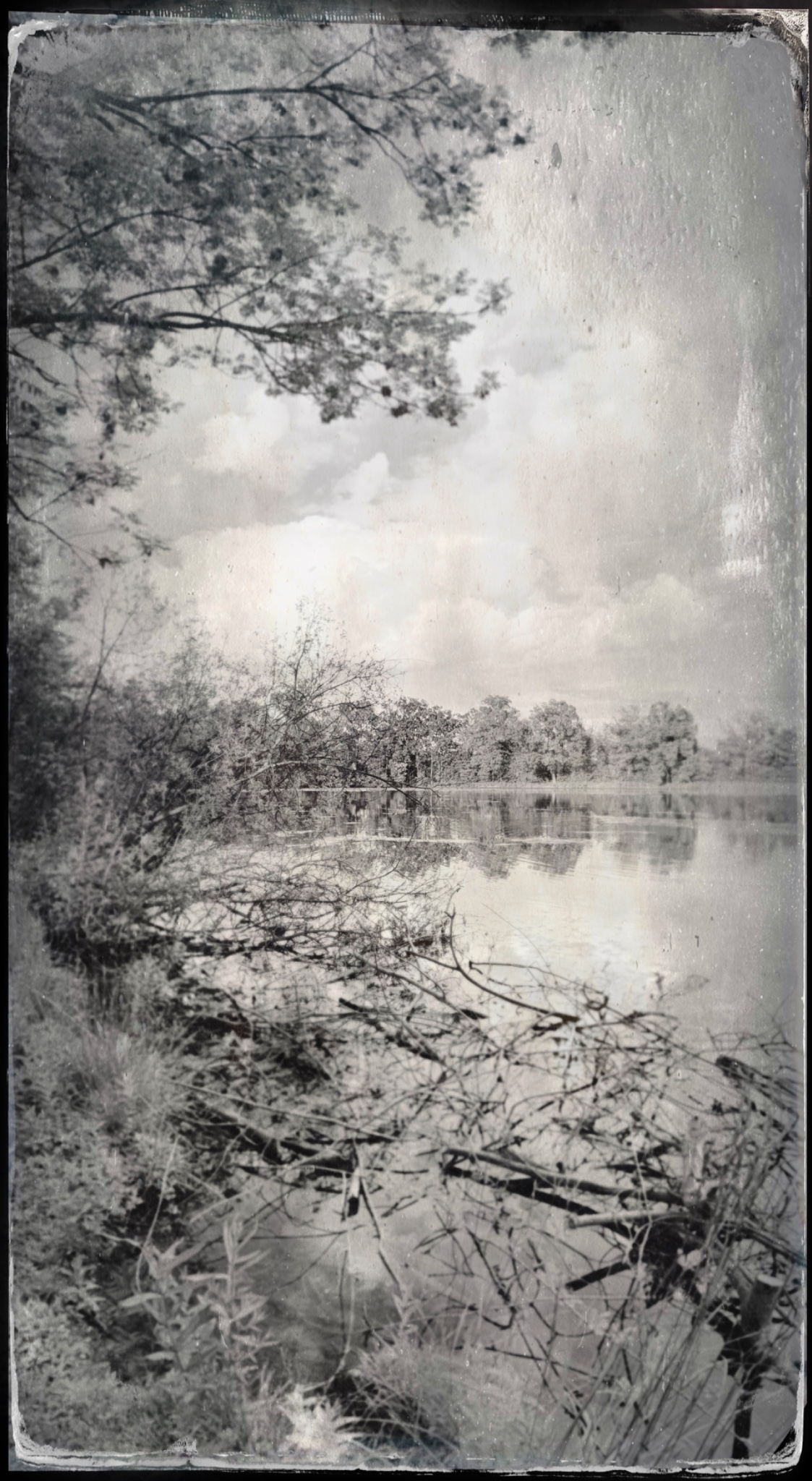 TinType 769815397.630962
