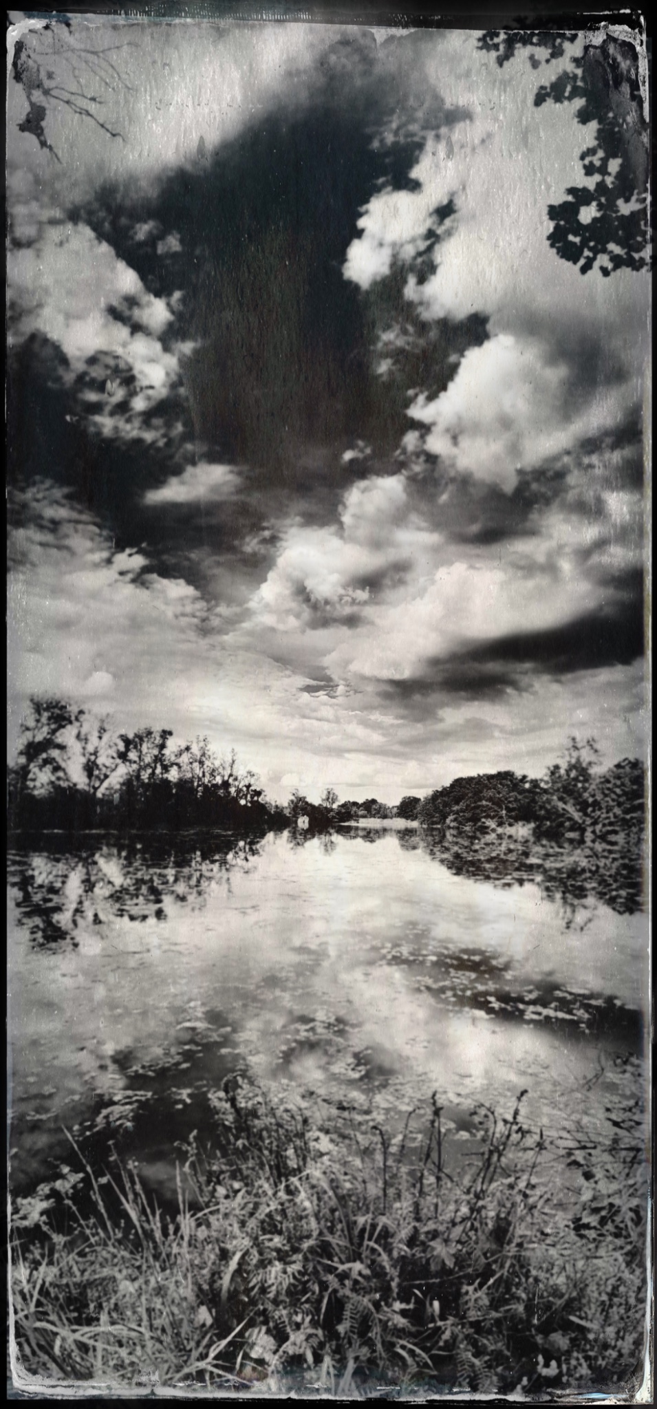 TinType 769815484.913976