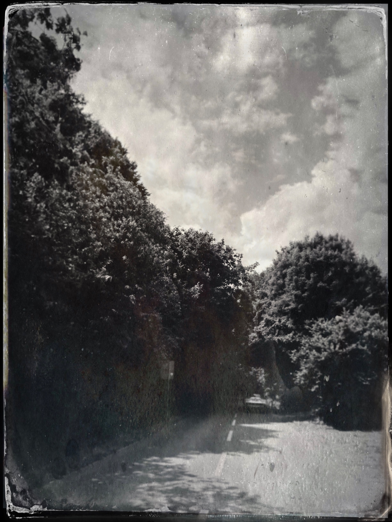 TinType 771345009.806055