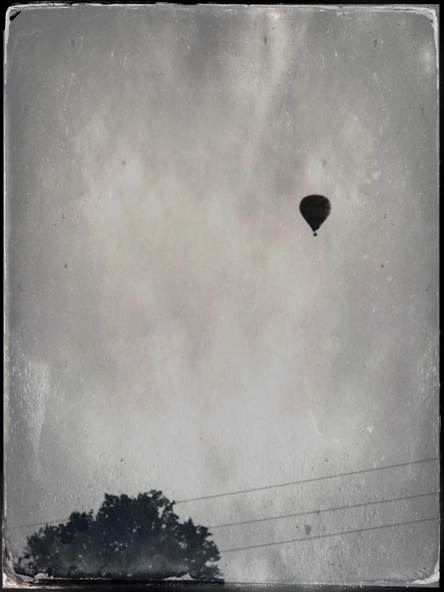 TinType 771449153.133563