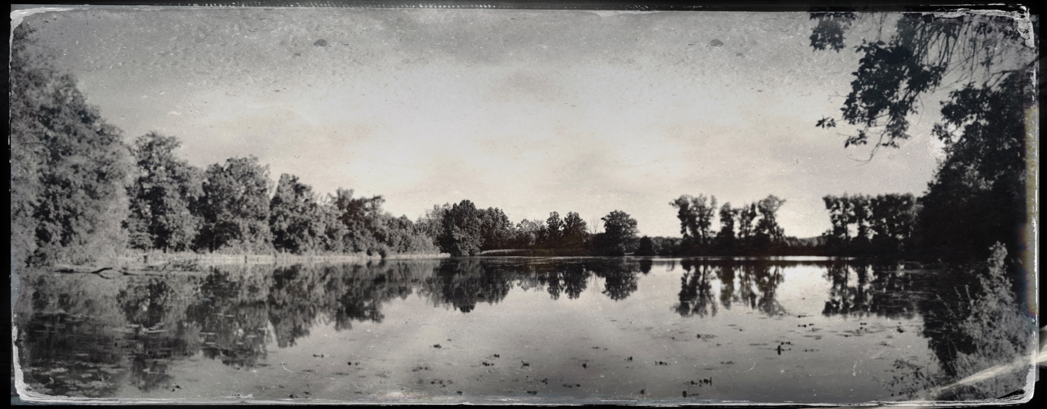 TinType 777324193.079704