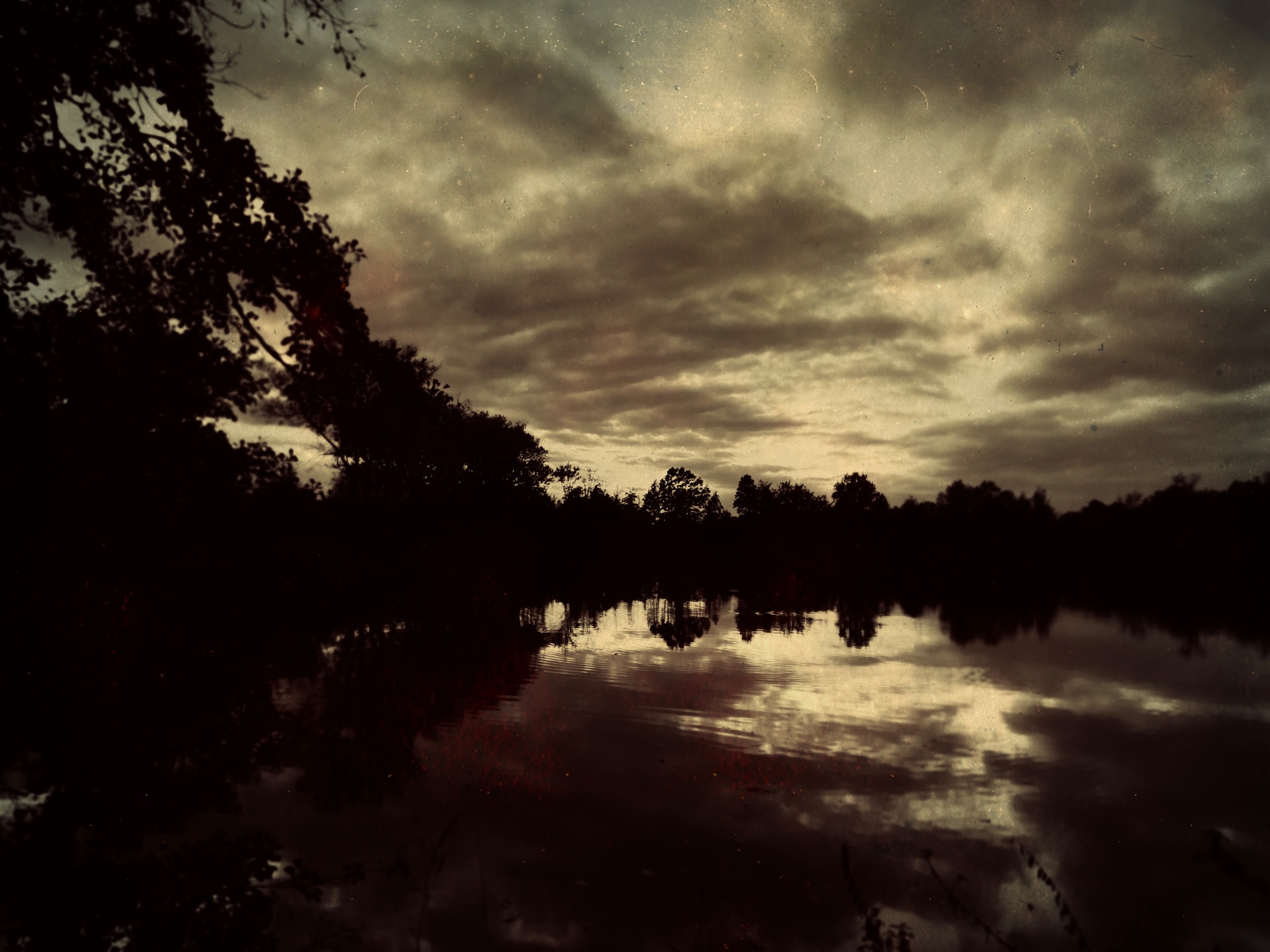 TinType 781896649.913969