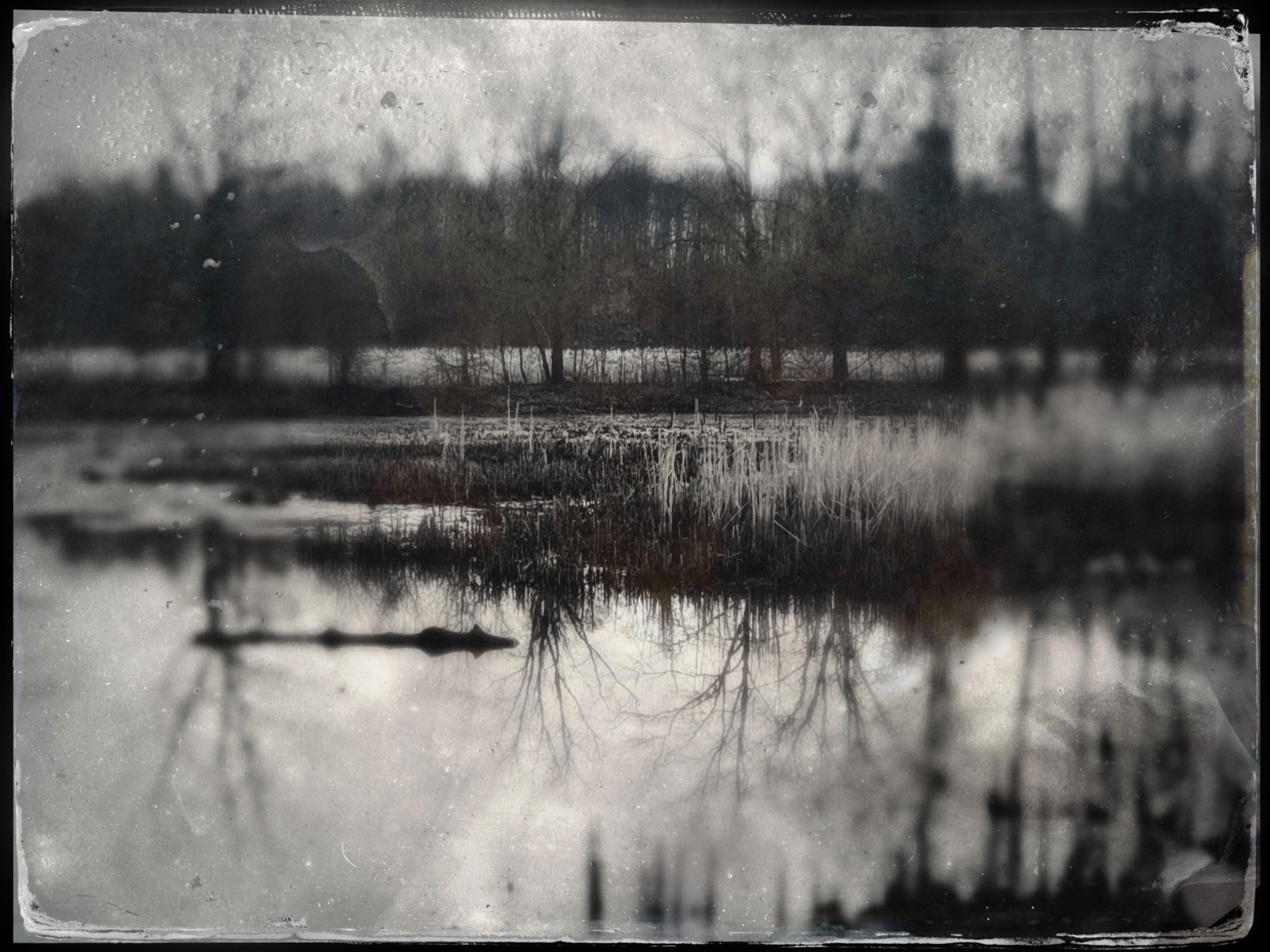 TinType 794301179.130940