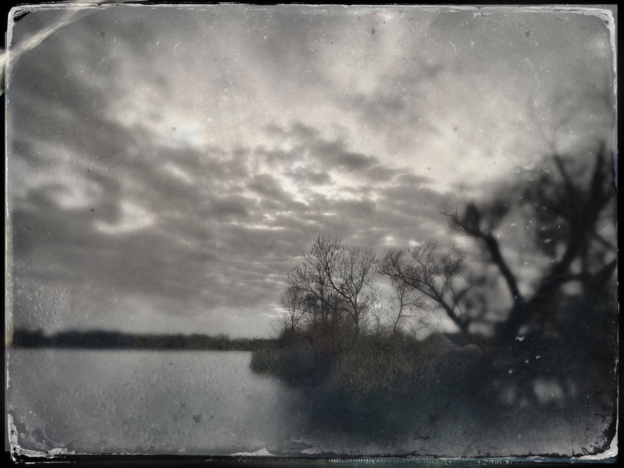TinType 795199732.388037