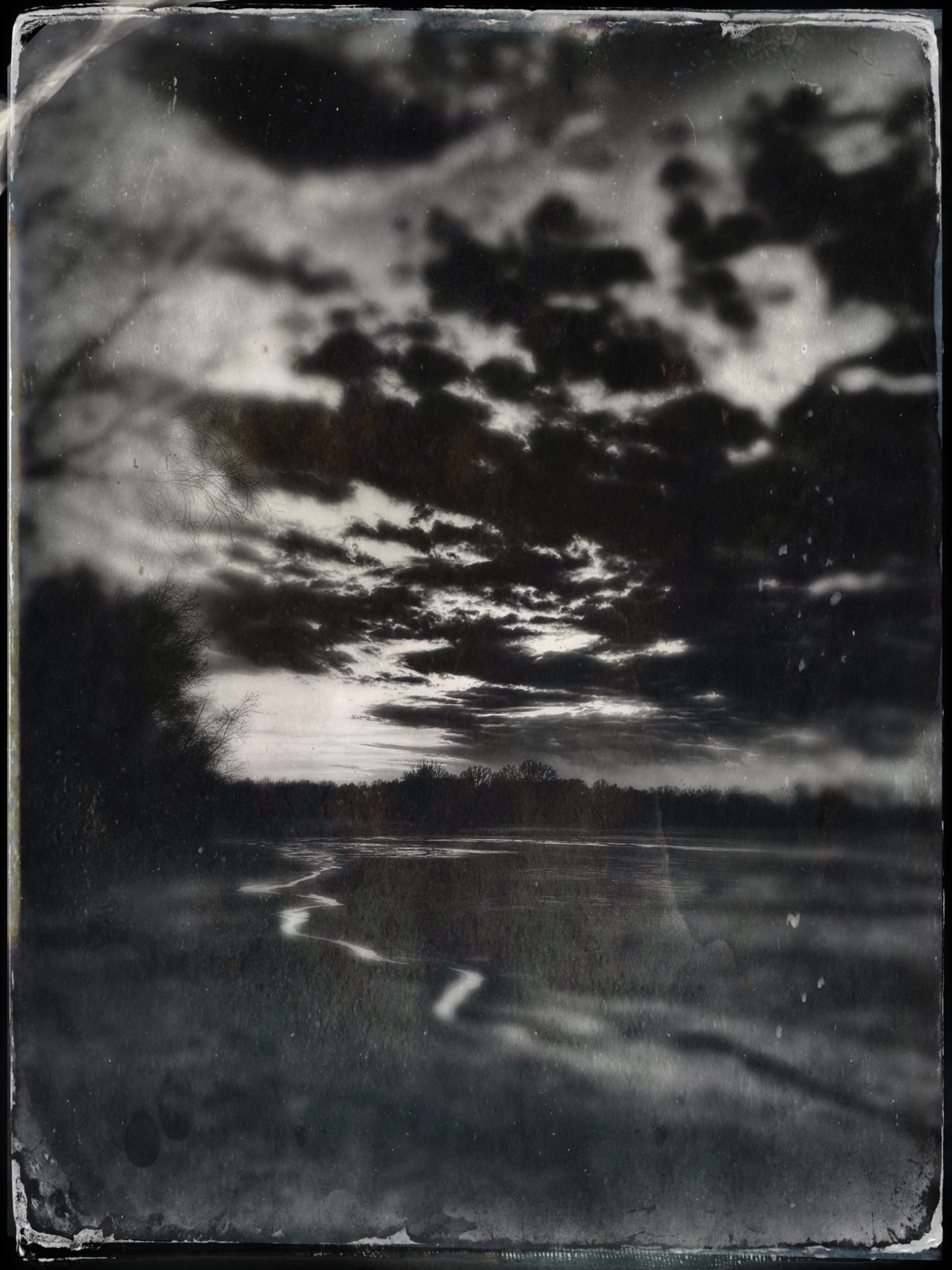TinType 795200257.848711