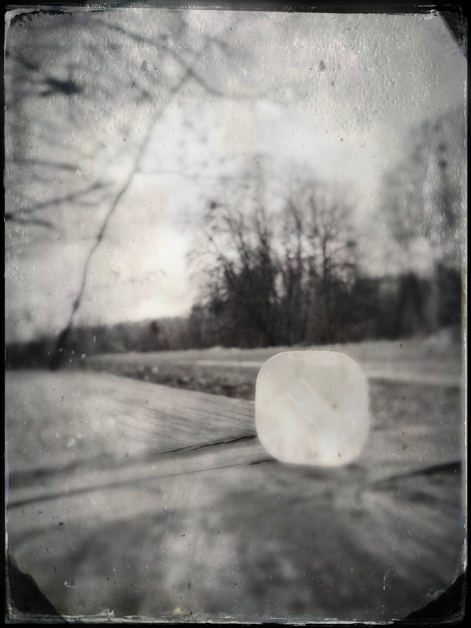 TinType 797009848.904551